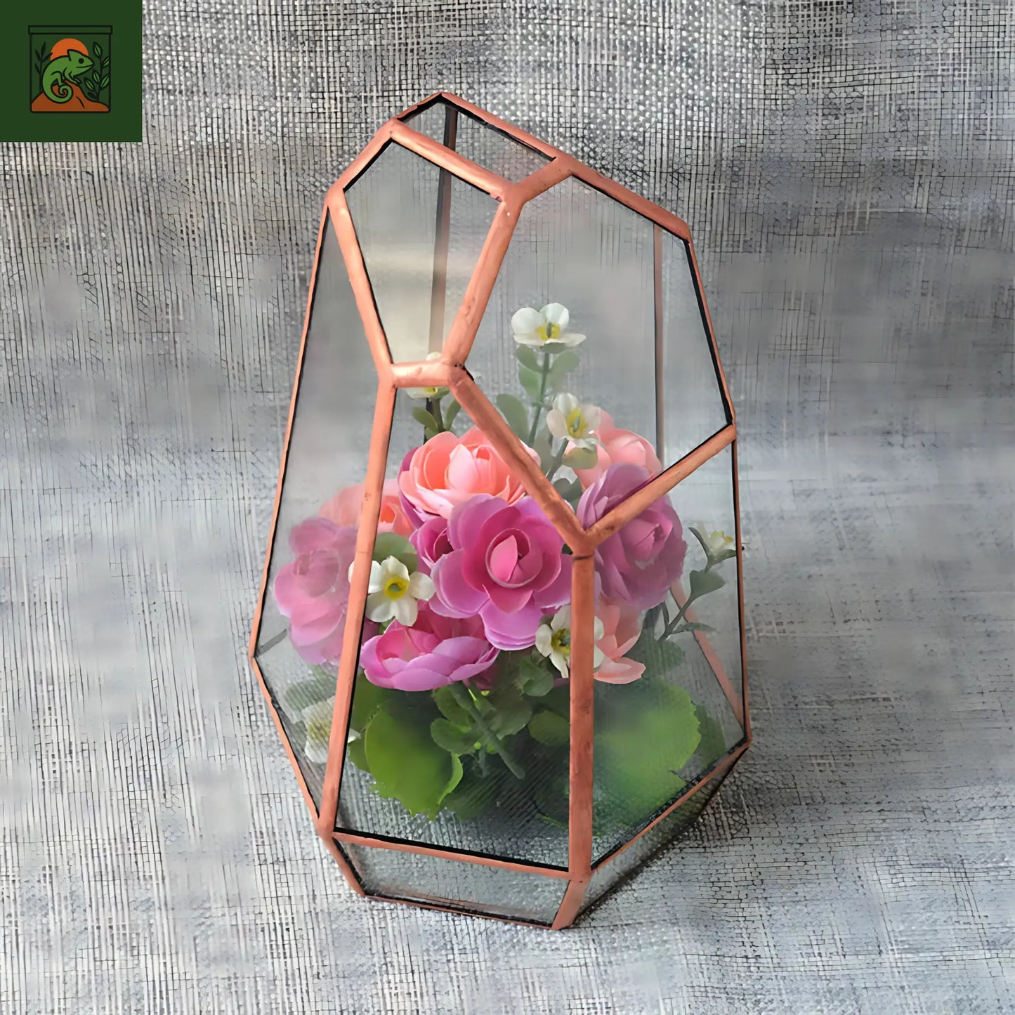 Terrarium Plante Géométrique