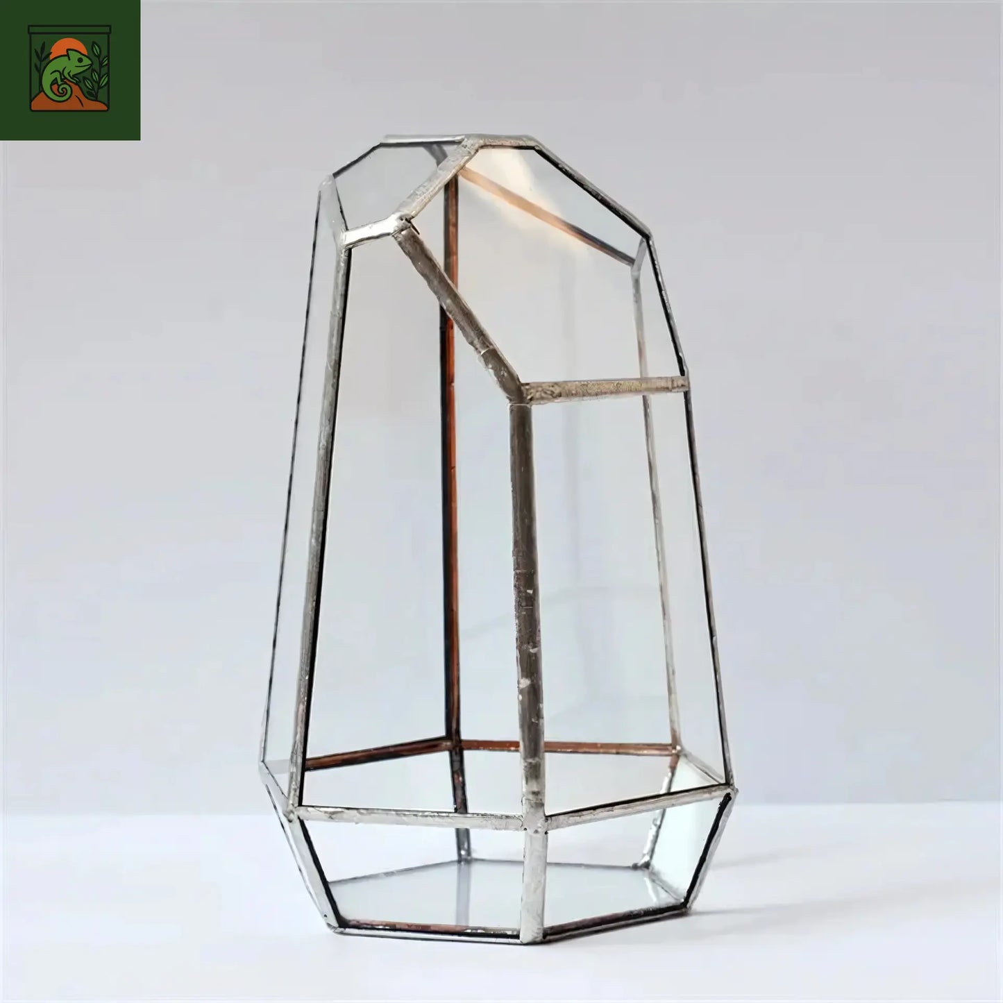 Terrarium Plante Géométrique