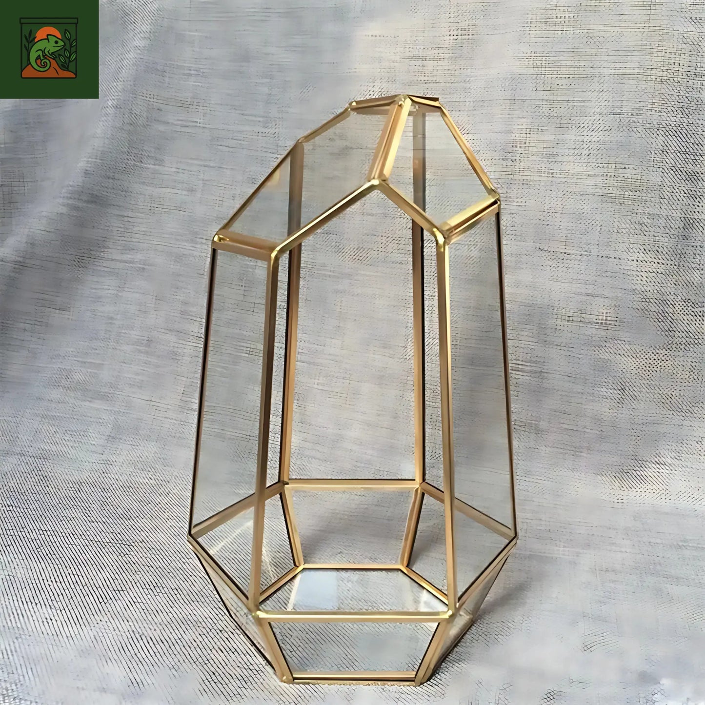 Terrarium Plante Géométrique