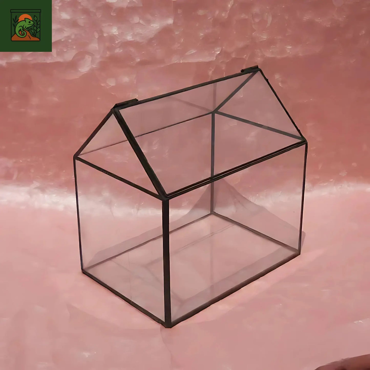 Terrarium Plante Maison décorative en verre