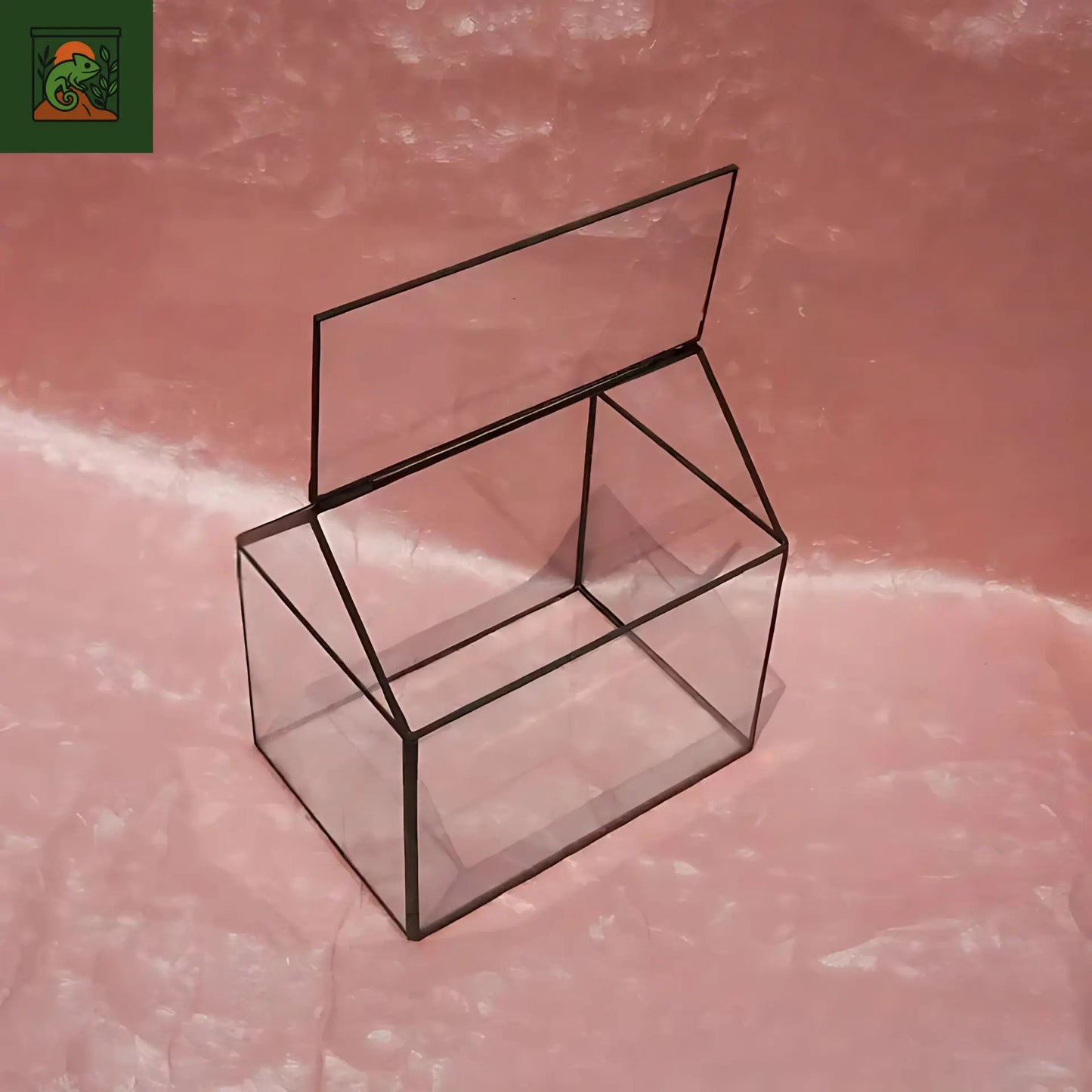 Terrarium Plante Maison décorative en verre