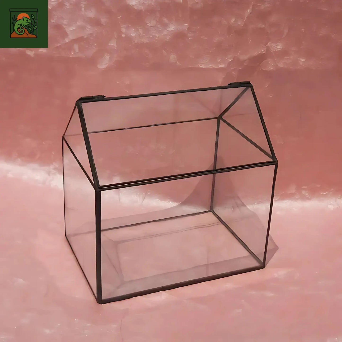 Terrarium Plante Maison décorative en verre