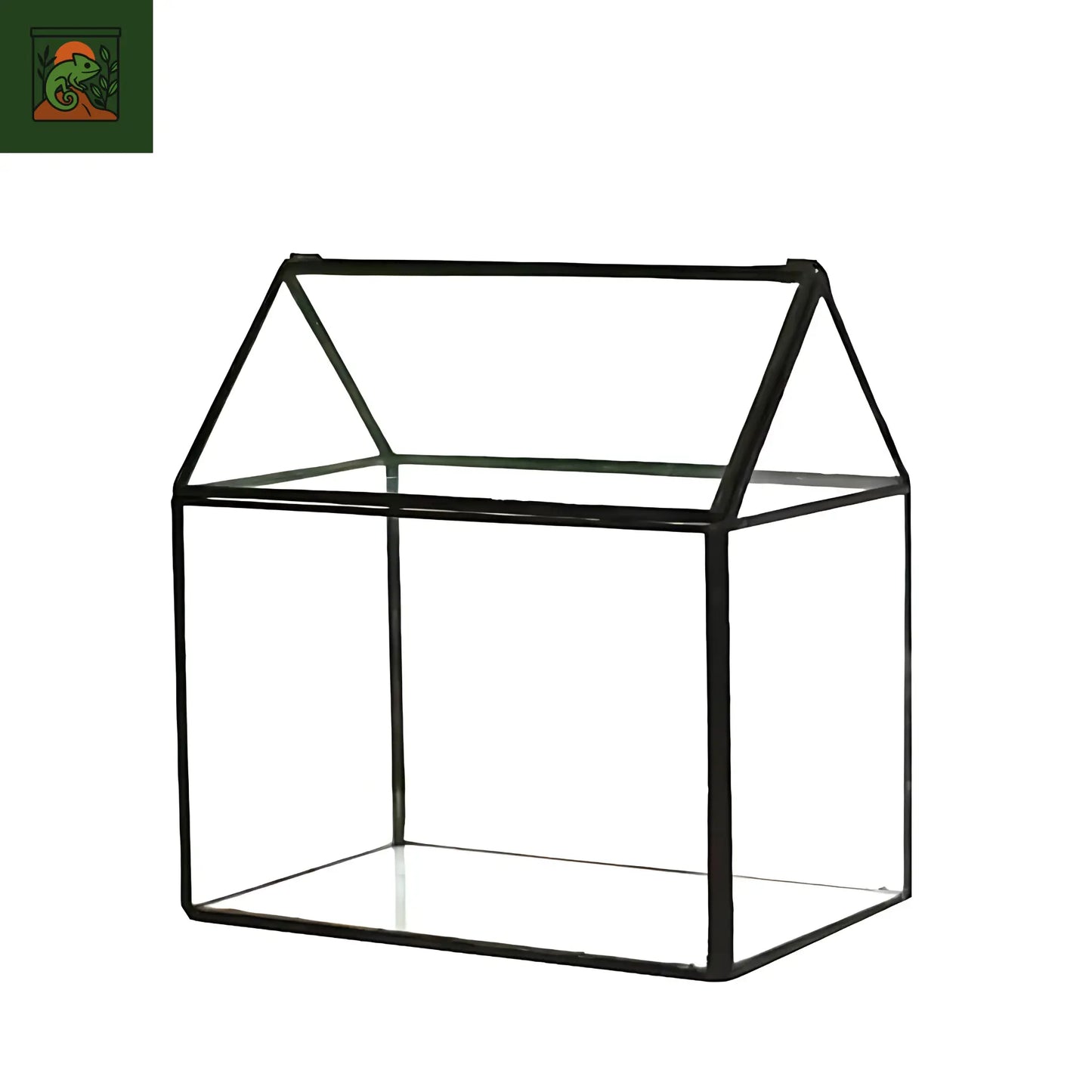 Terrarium Plante Maison décorative en verre