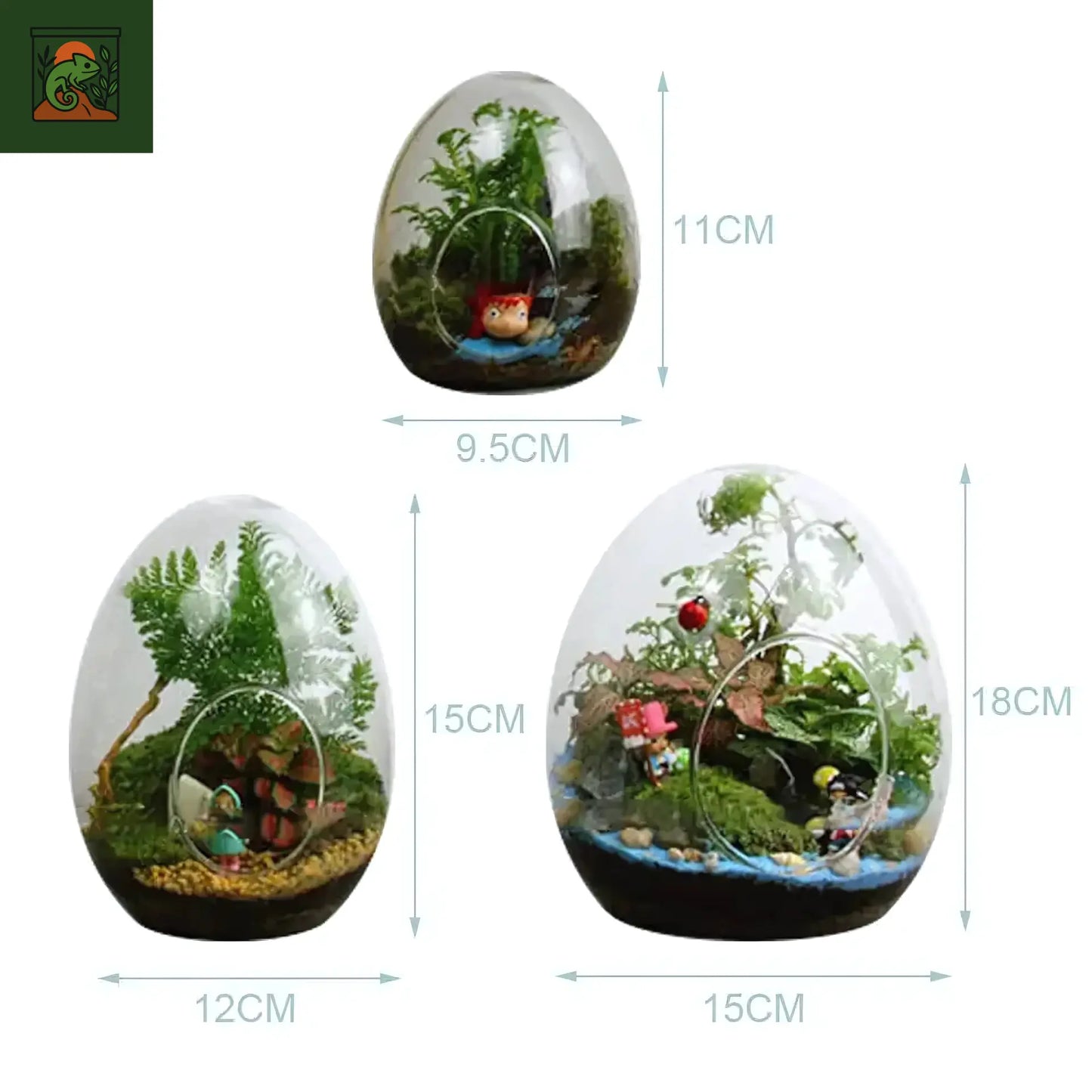 Terrarium Plante Œuf en Verre – Vase Créatif pour Micro Paysage