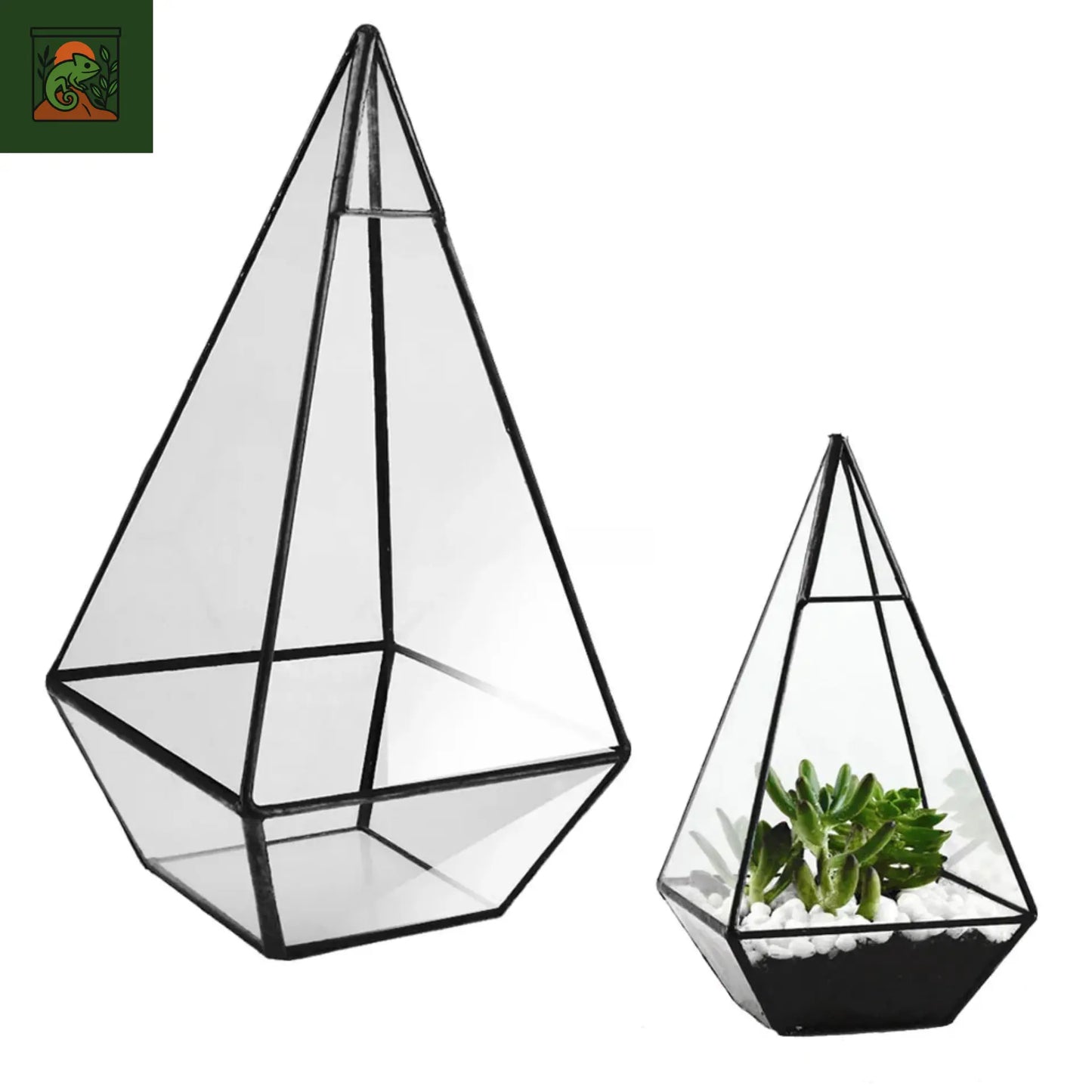 Terrarium a Plante Pyramidale