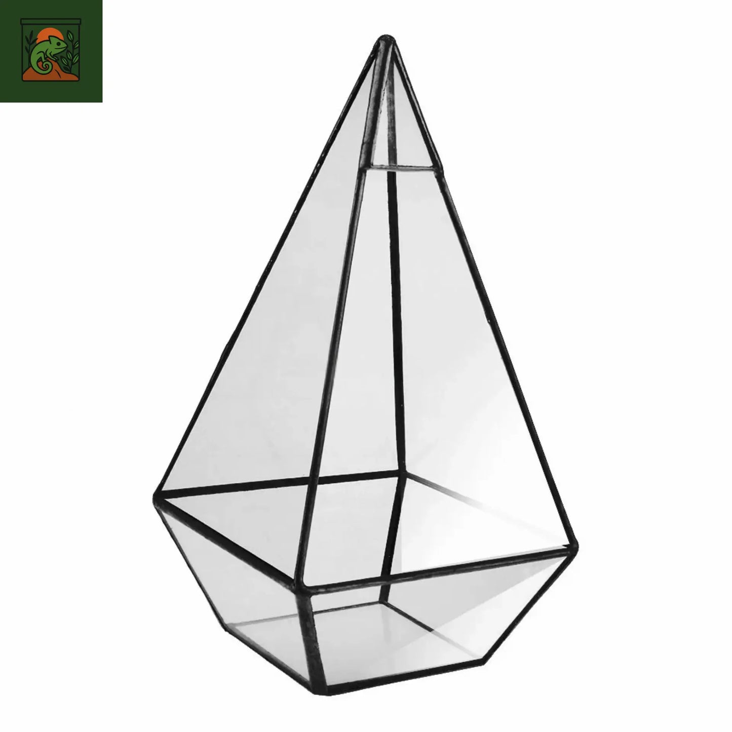 Terrarium a Plante Pyramidale
