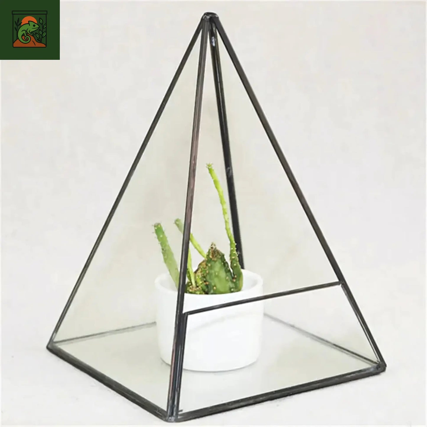 Terrarium Plante Pyramide en verre – géométrique Dakota
