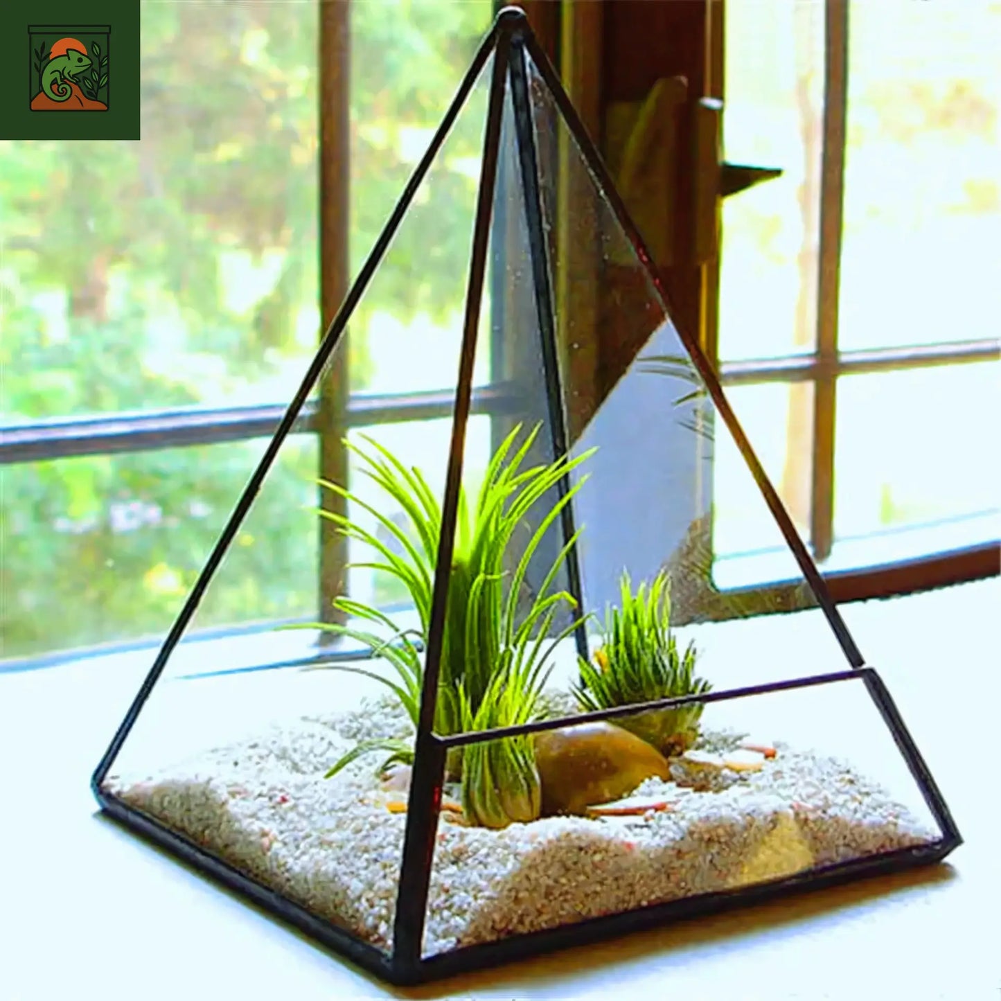 Terrarium Plante Pyramide en verre – géométrique Dakota