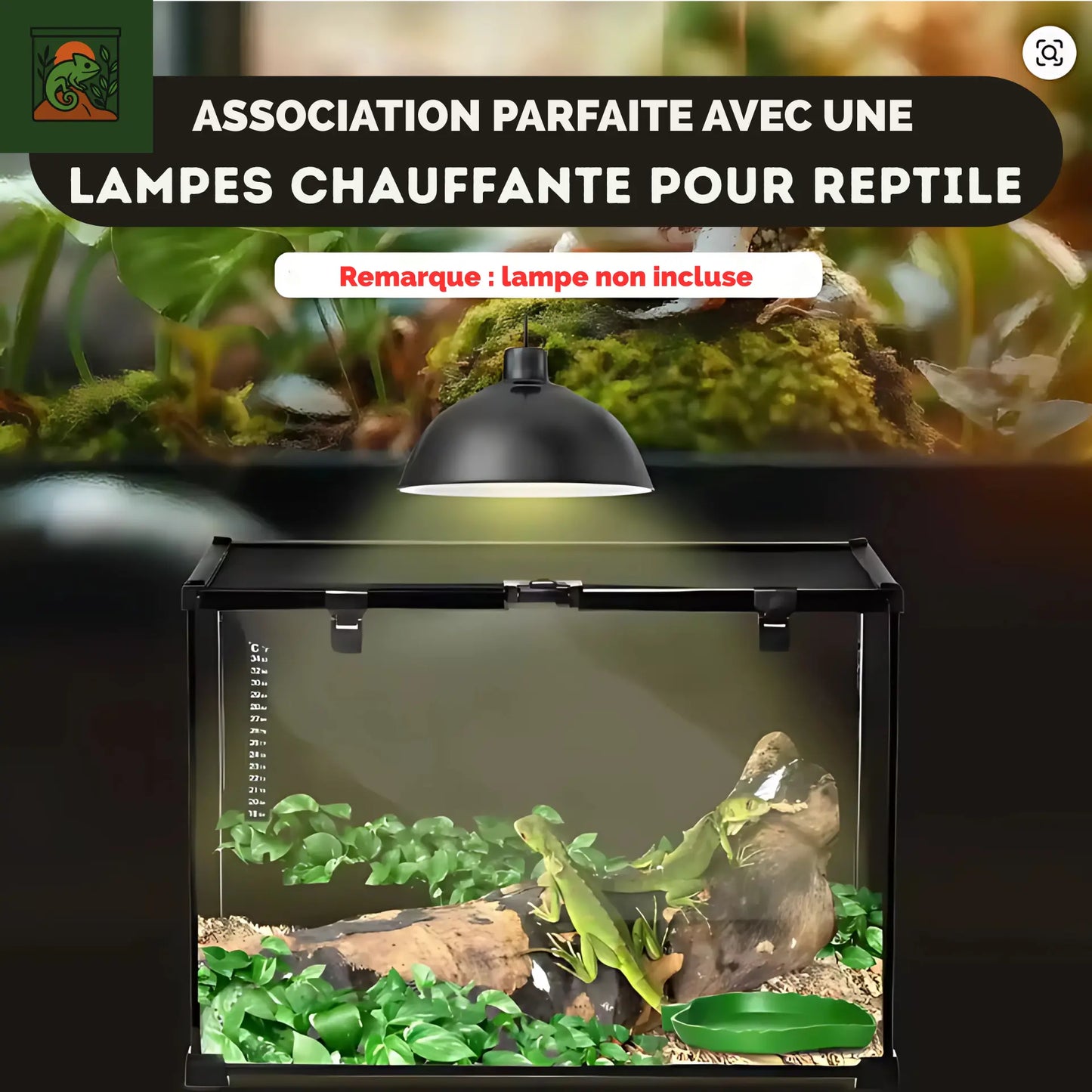 Terrarium Reptiles 50×30×35 cm – En Verre avec Couvercle Métallique
