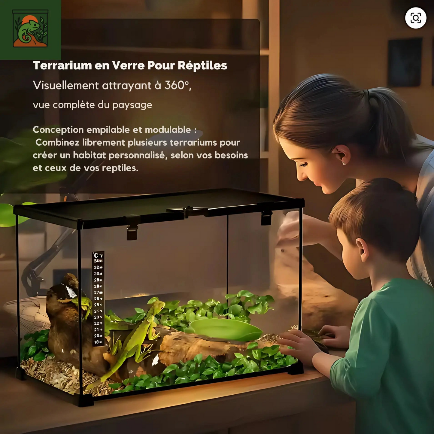Terrarium Reptiles 50×30×35 cm – En Verre avec Couvercle Métallique
