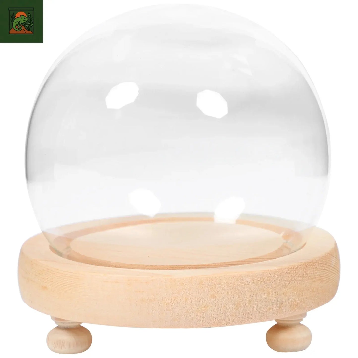 Cloche en verre à Base de bois, couvercle d'exposition de fleurs, Vase anti-poussière, pot de cloche, dôme en verre, vitrine de plantes artificielles, fleur préservée pour la maison