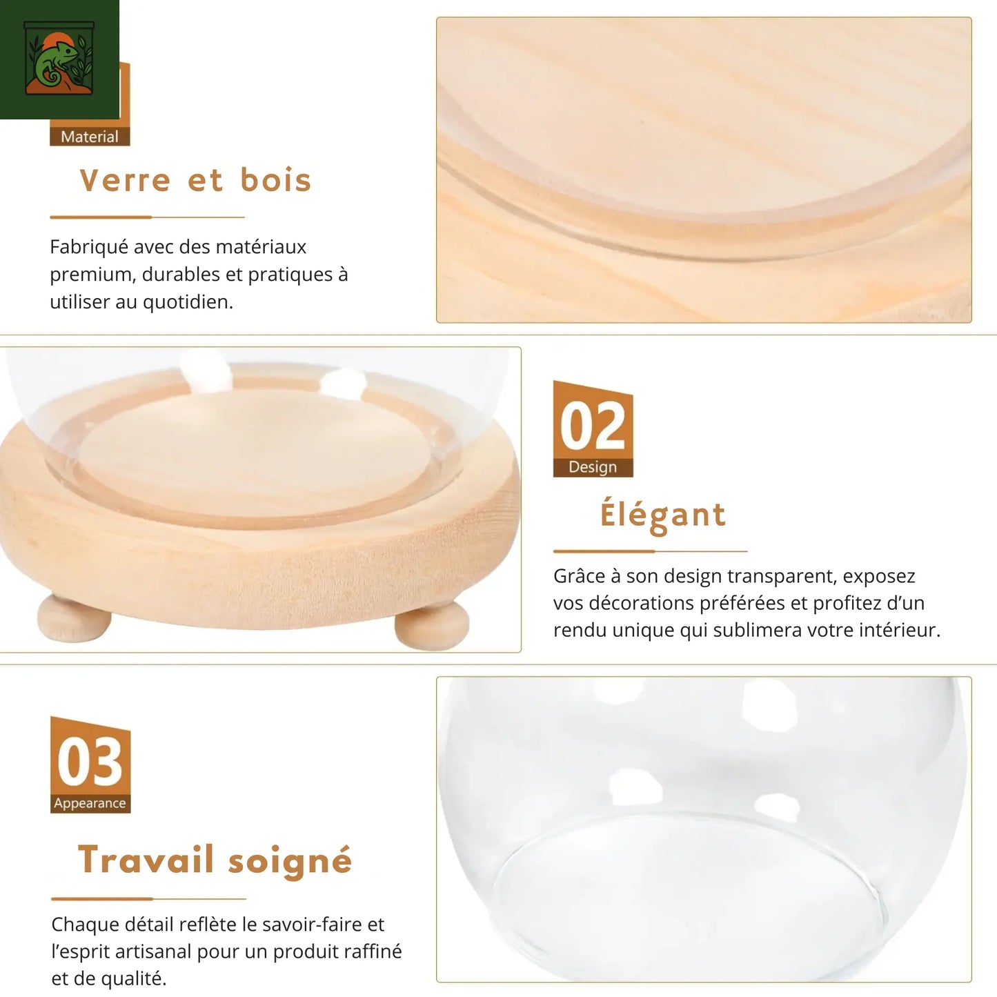 Terrarium Végétal en Cloche de Verre à Base de Bois