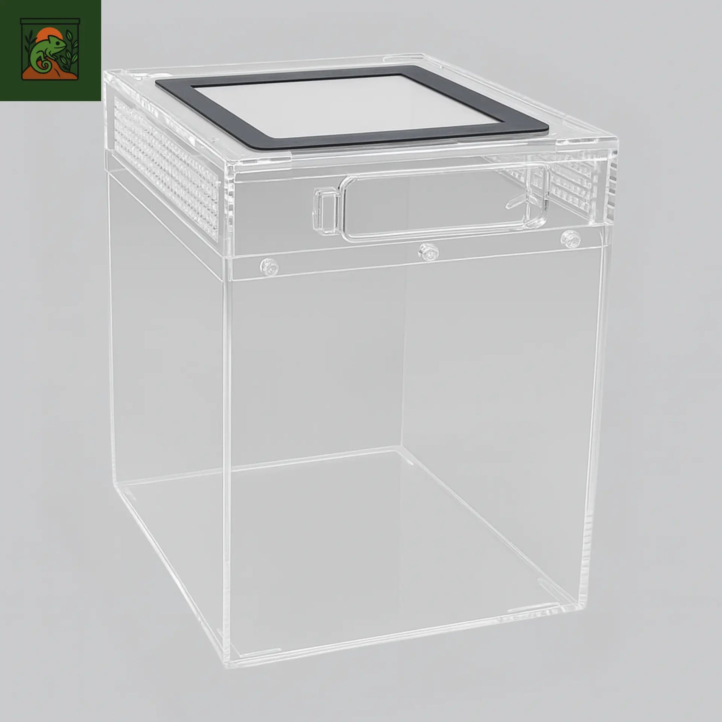 Terrarium amphibiens Transparent