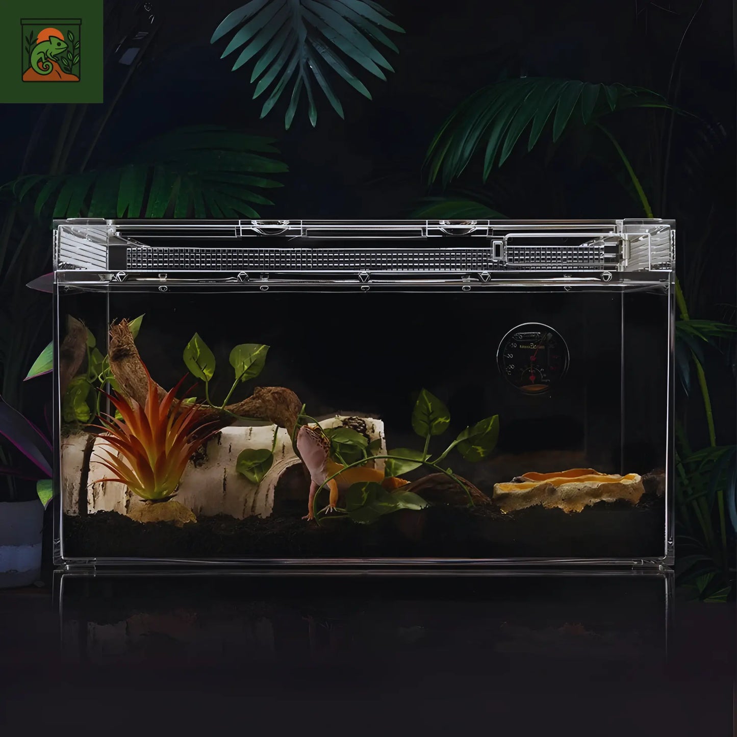 Terrarium carré en acrylique transparent – Léger et durable pour reptiles