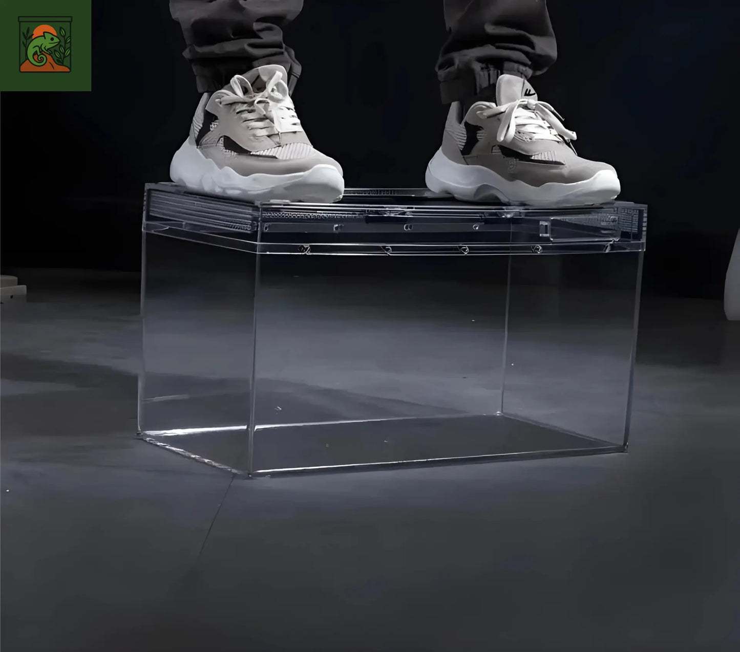 Terrarium carré en acrylique transparent – Léger et durable pour reptiles
