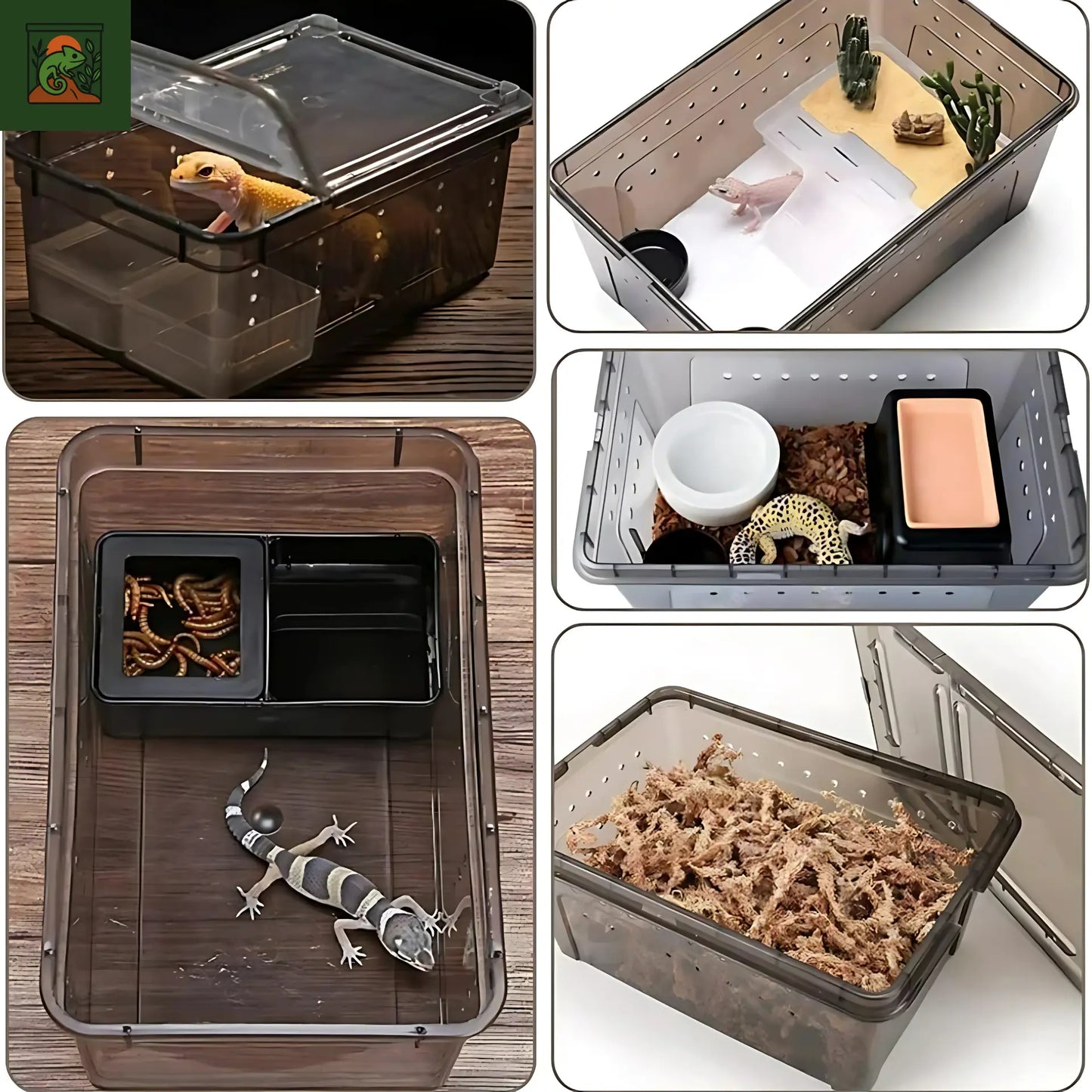 Terrarium d’élevage en plastique transparent