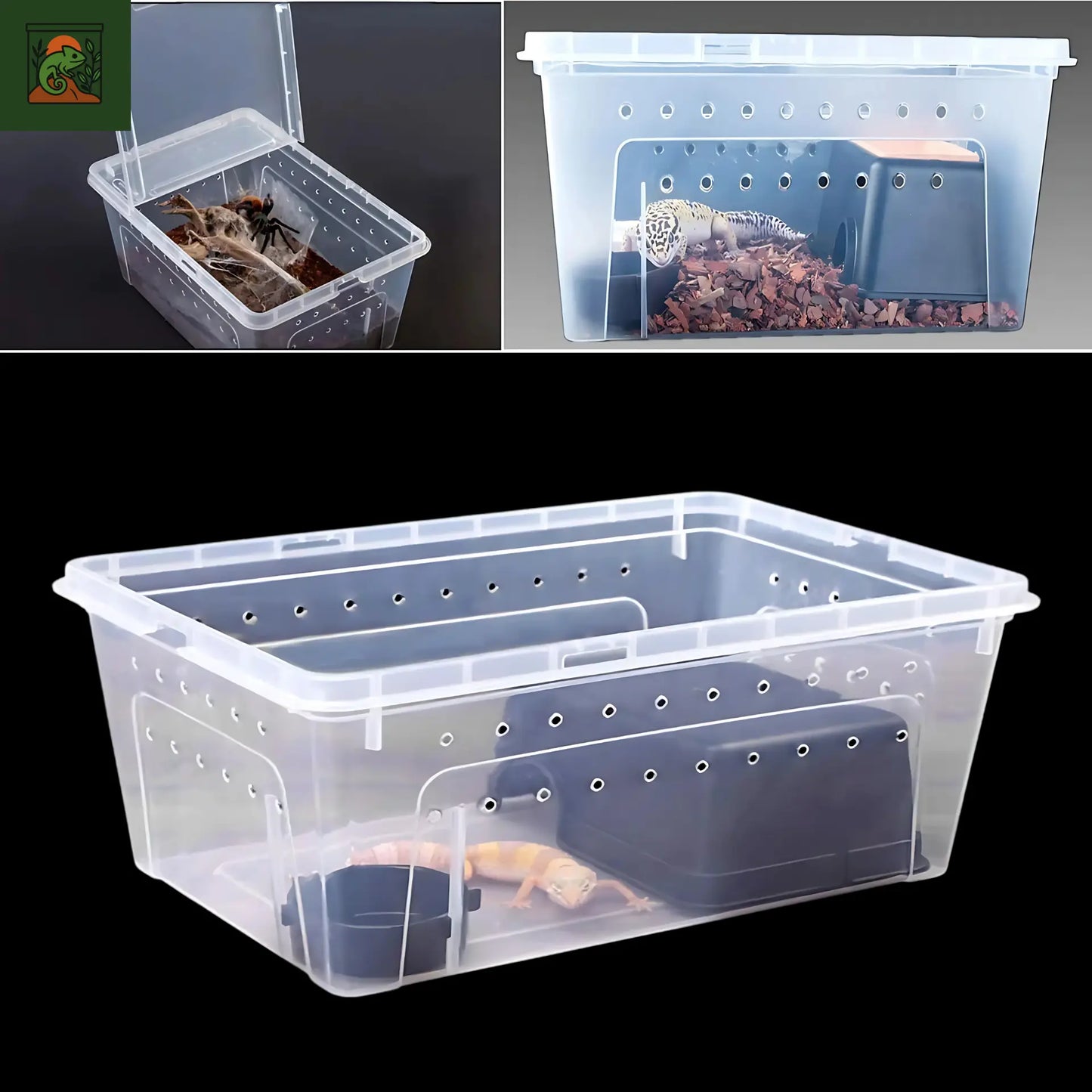 Terrarium d’élevage en plastique transparent