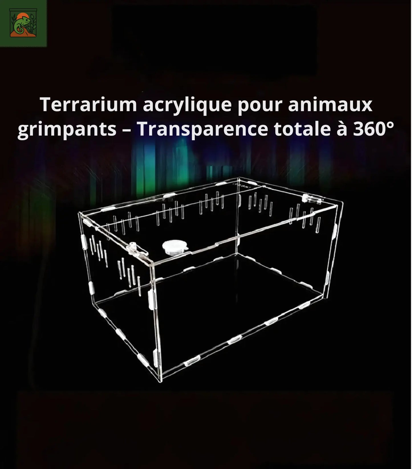 Terrarium en Acrylique Multi-Compartiments