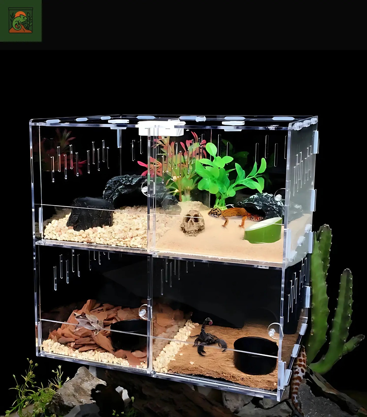 Terrarium en Acrylique Multi-Compartiments