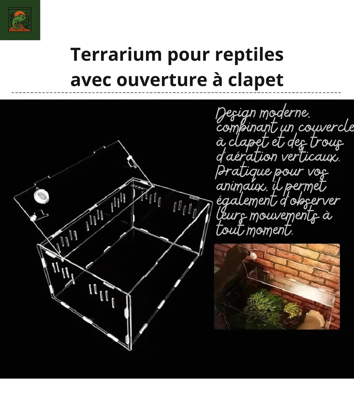 Terrarium en Acrylique Multi-Compartiments