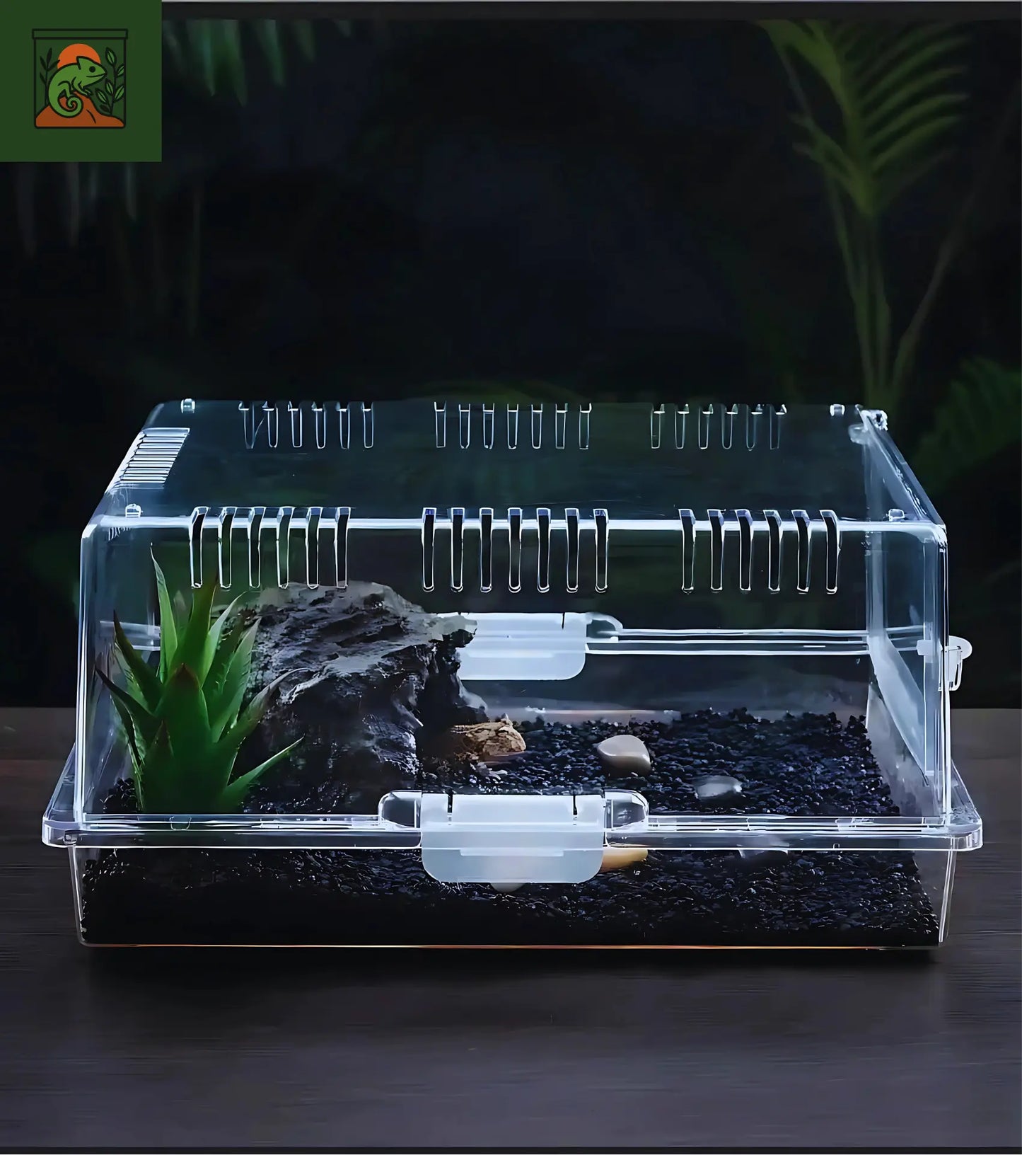 Terrarium en Acrylique Transparent – Facile à Monter