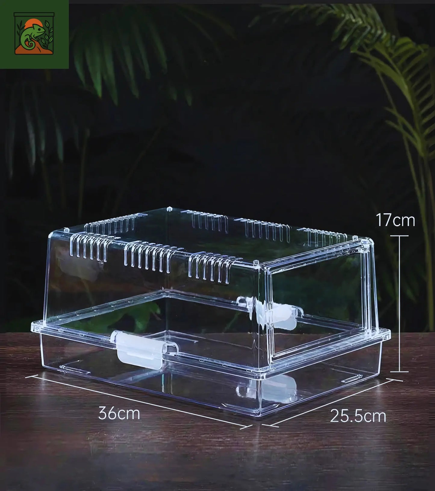 Terrarium en Acrylique Transparent – Facile à Monter