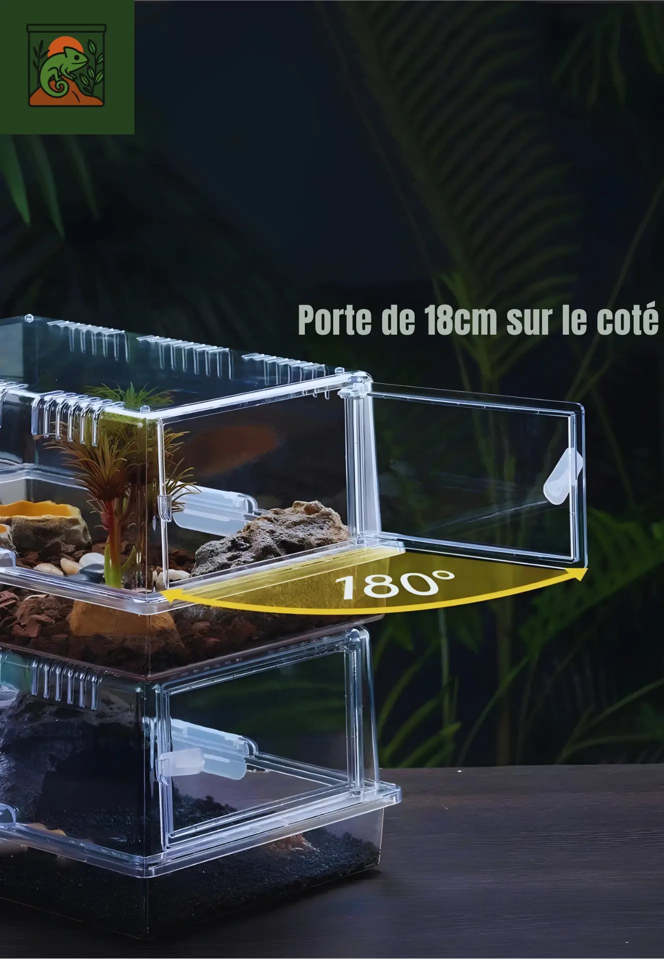 Terrarium en Acrylique Transparent – Facile à Monter
