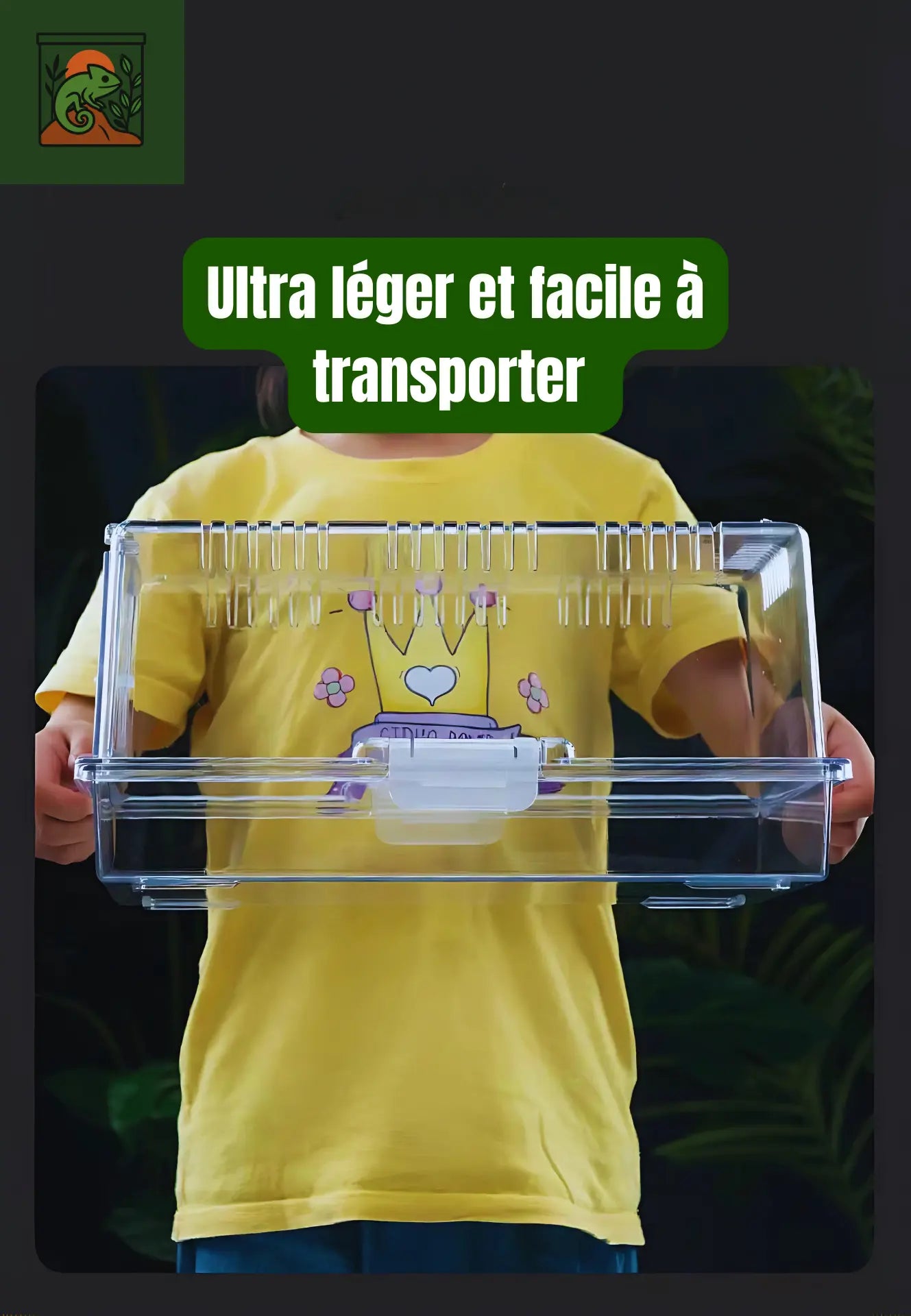 Terrarium en Acrylique Transparent – Facile à Monter