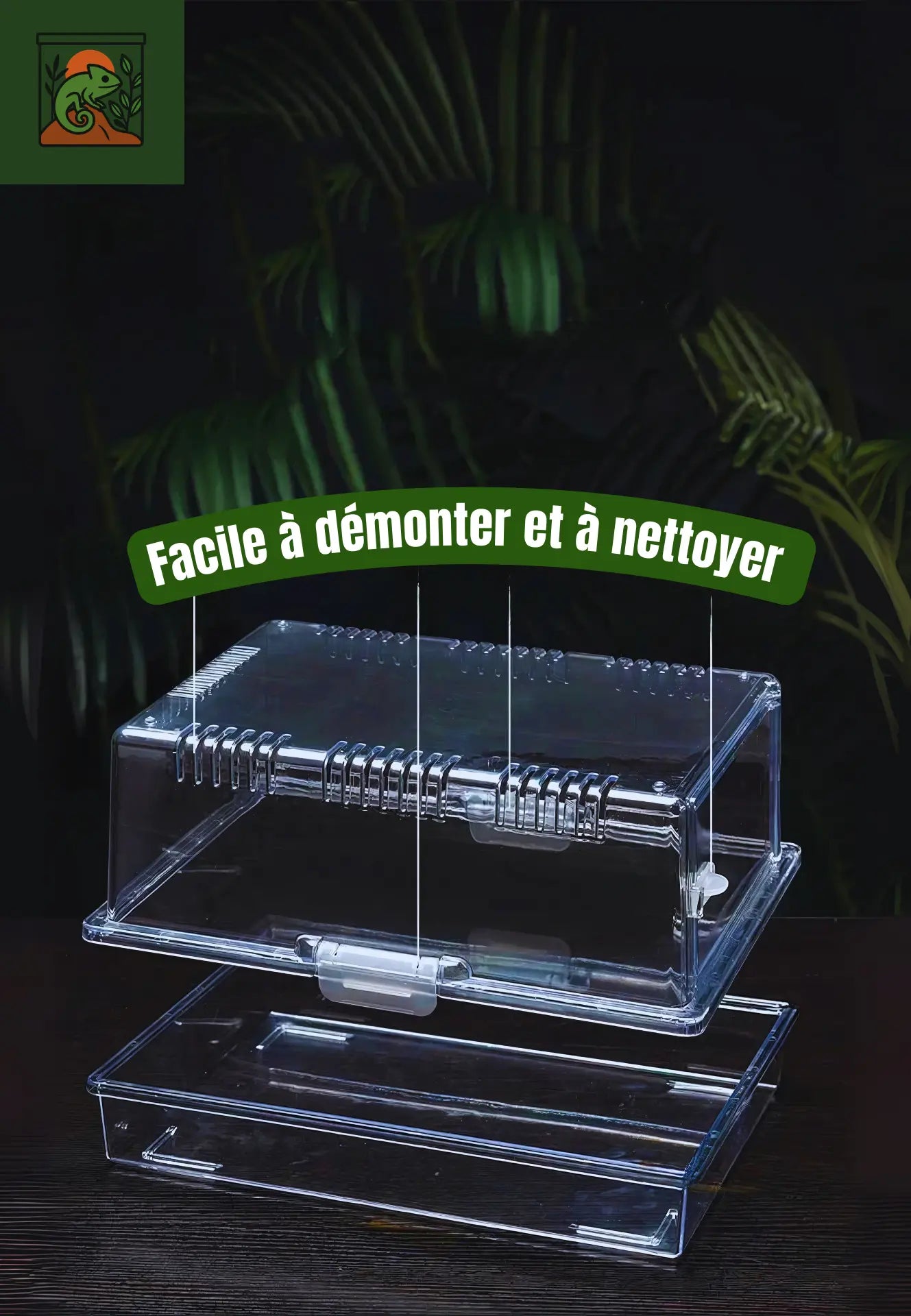 Terrarium en Acrylique Transparent – Facile à Monter