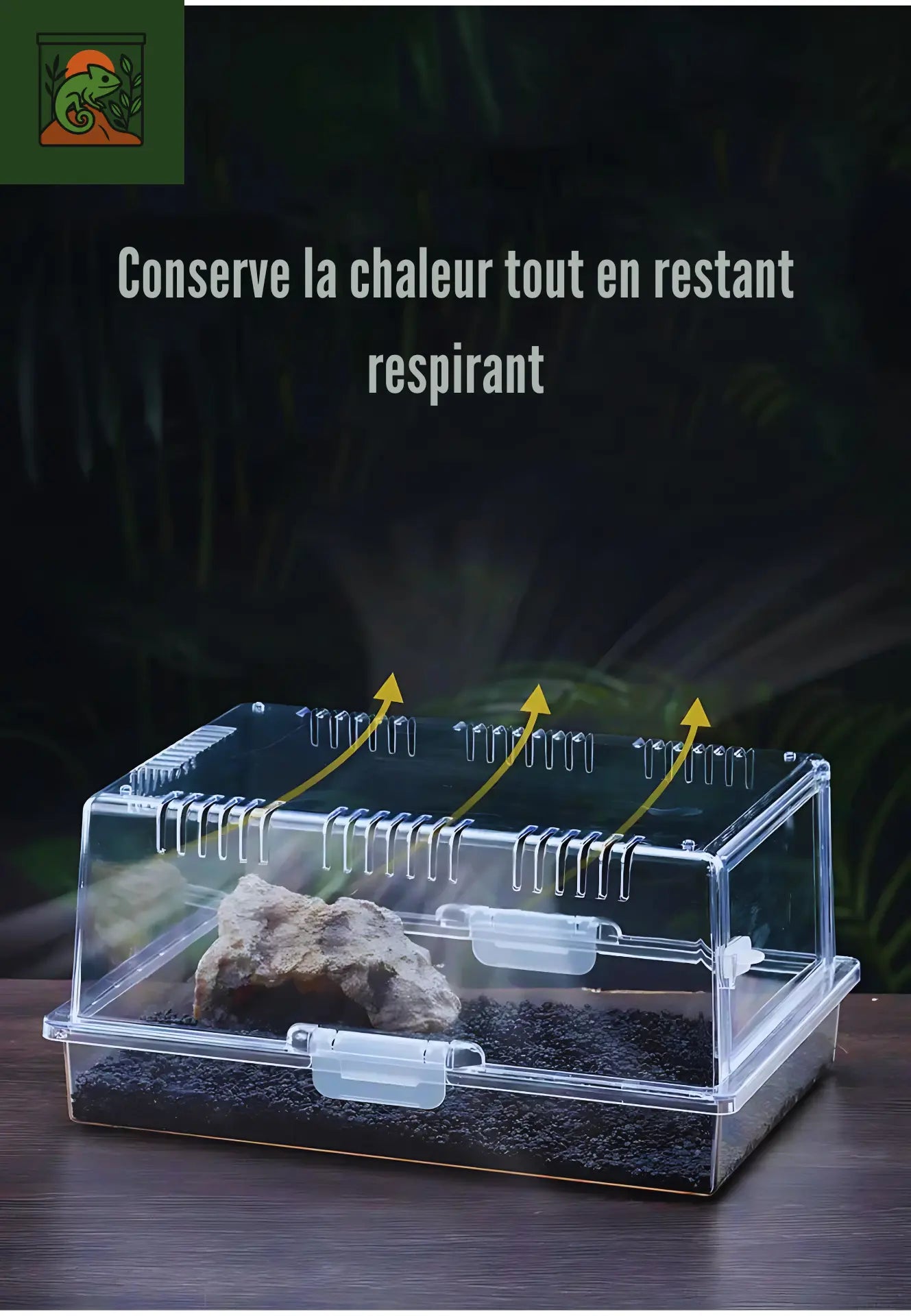 Terrarium en Acrylique Transparent – Facile à Monter
