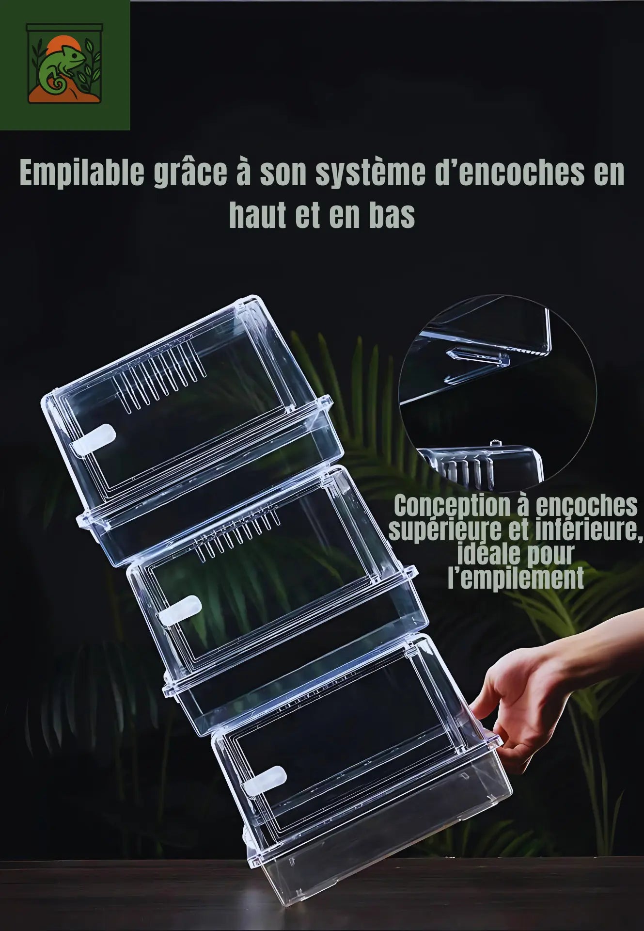 Terrarium en Acrylique Transparent – Facile à Monter