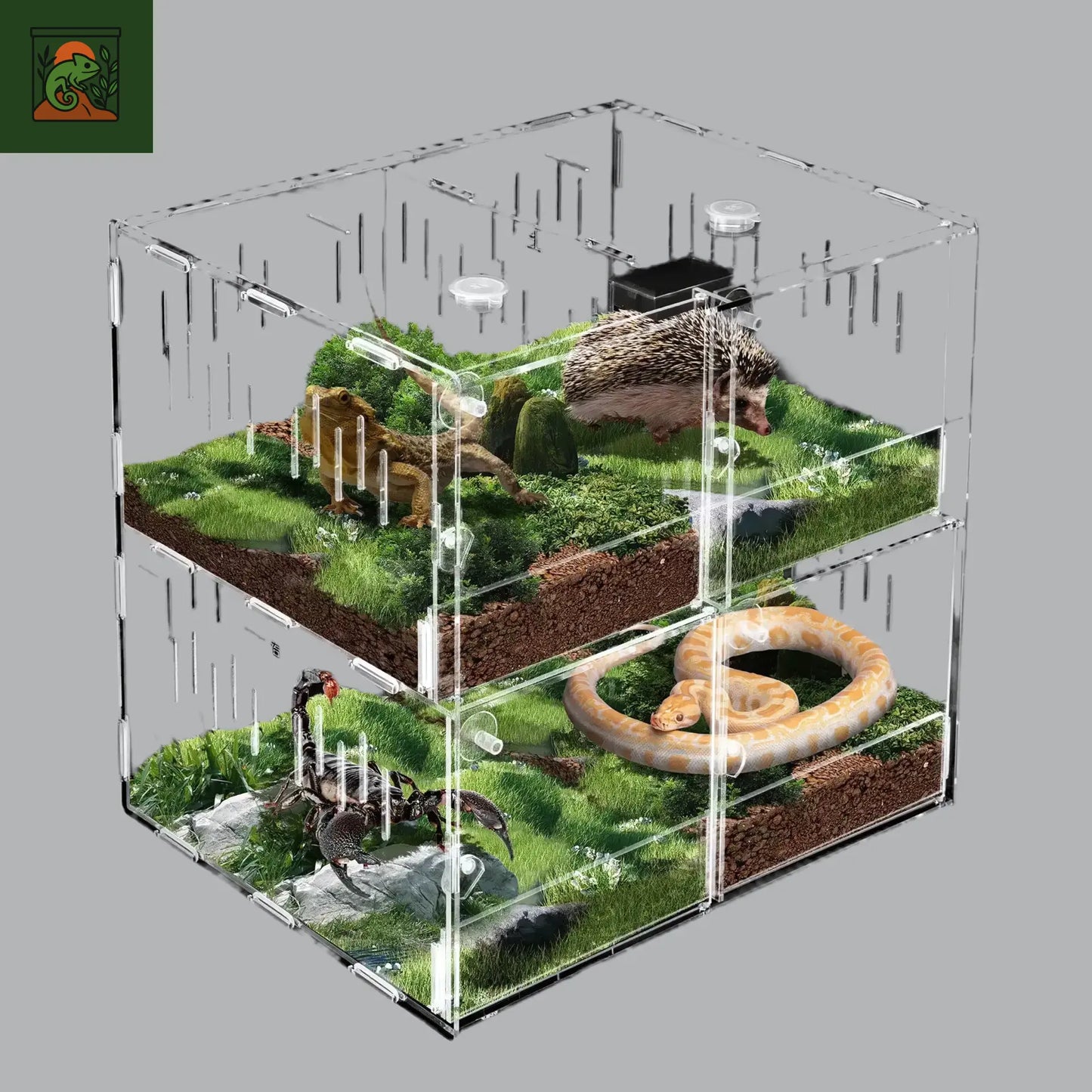Terrarium en Acrylique Transparent à 4 Compartiments