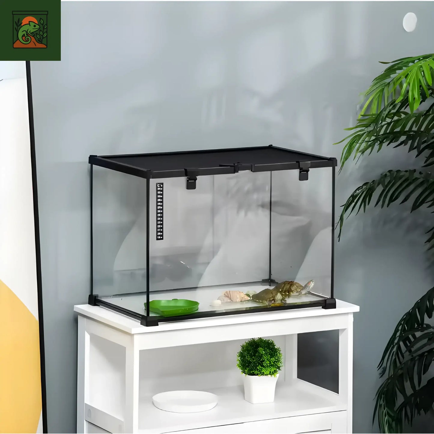 Terrarium en Verre 50x30x35 cm – Vue Panoramique