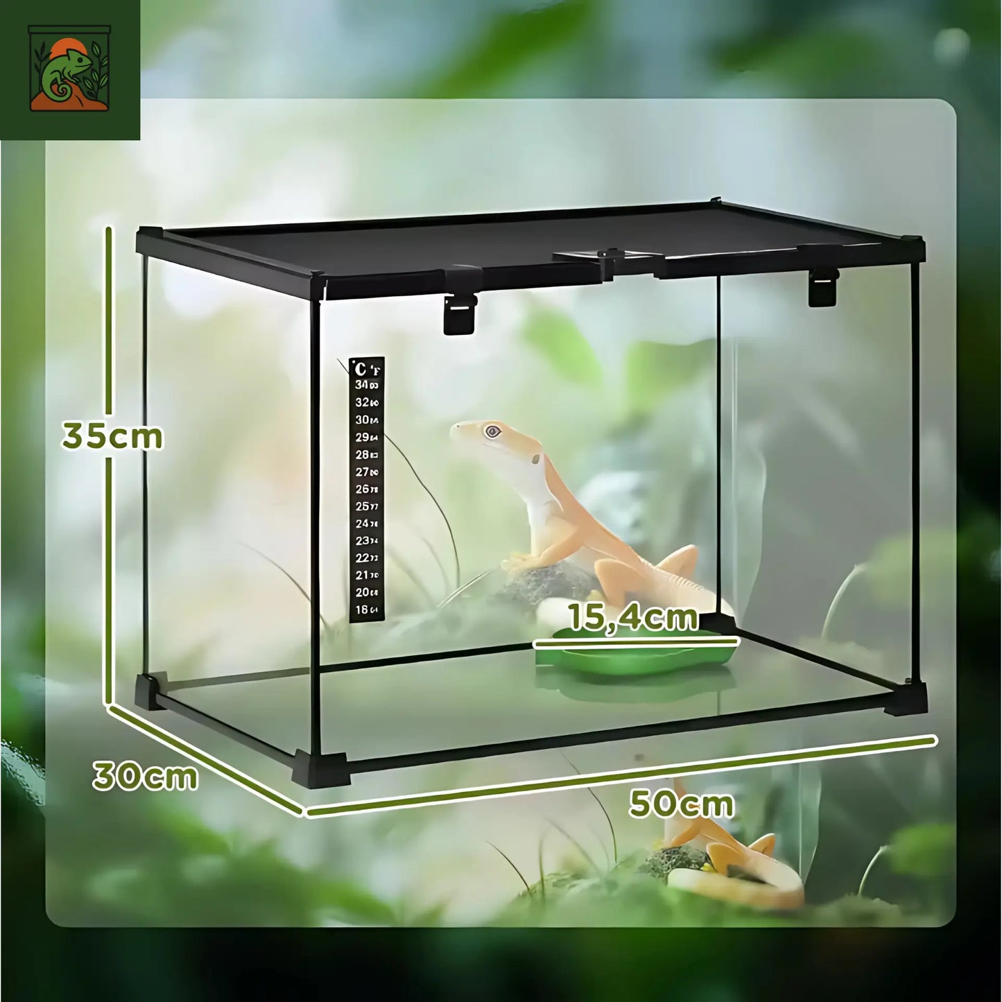Terrarium en Verre 50x30x35 cm – Vue Panoramique