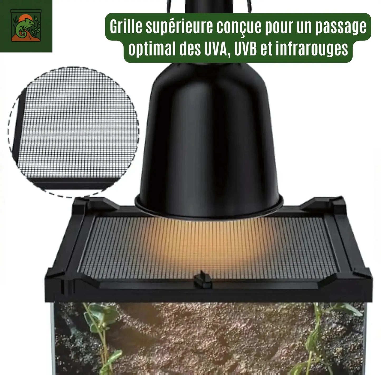 Terrarium en Verre Compact a Haute Transparence