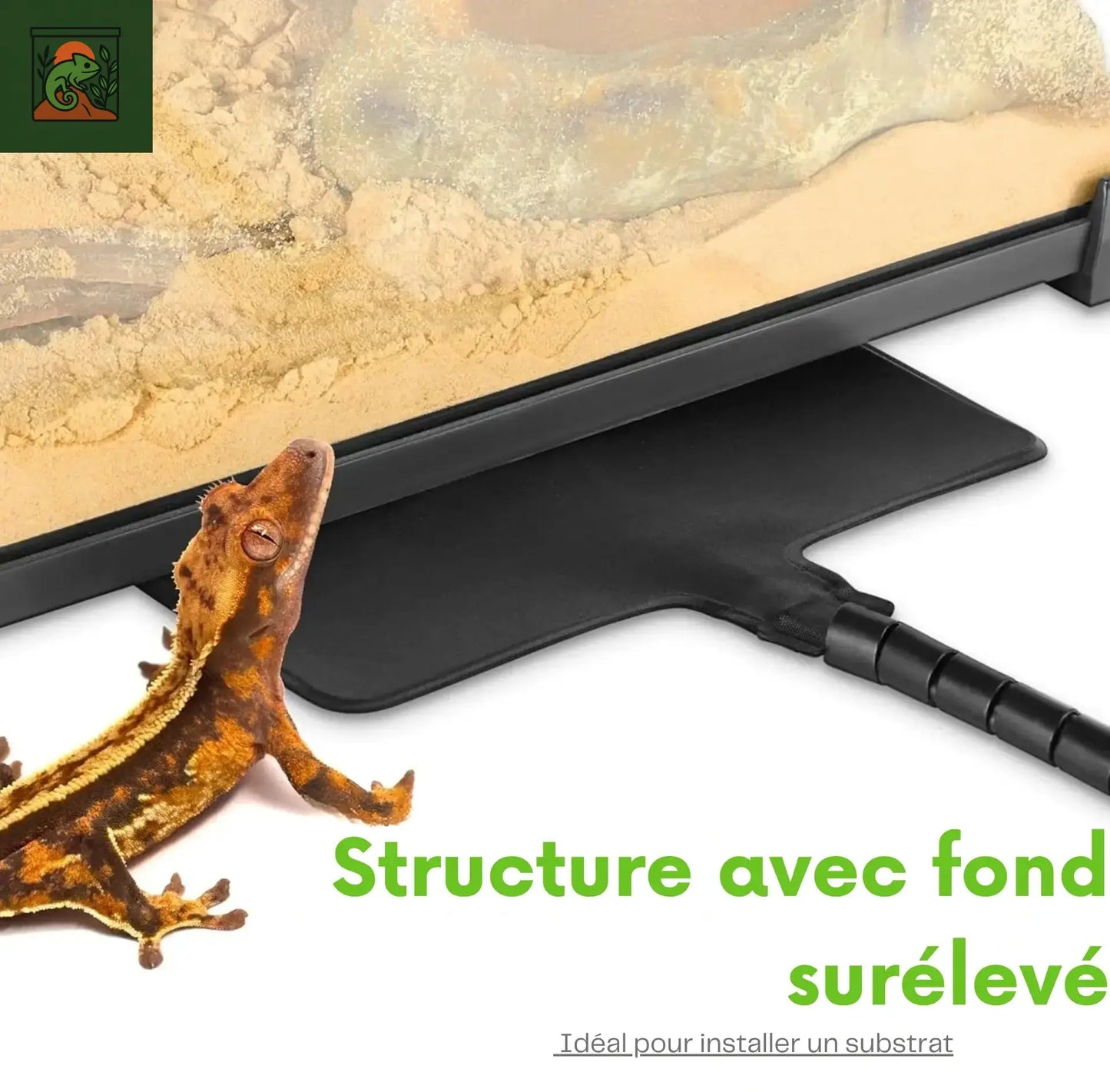 Terrarium en Verre Compact a Haute Transparence