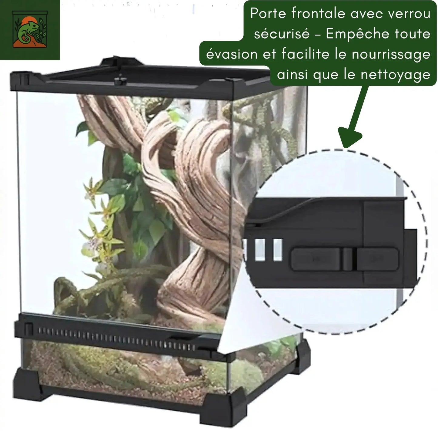 Terrarium en Verre Compact a Haute Transparence