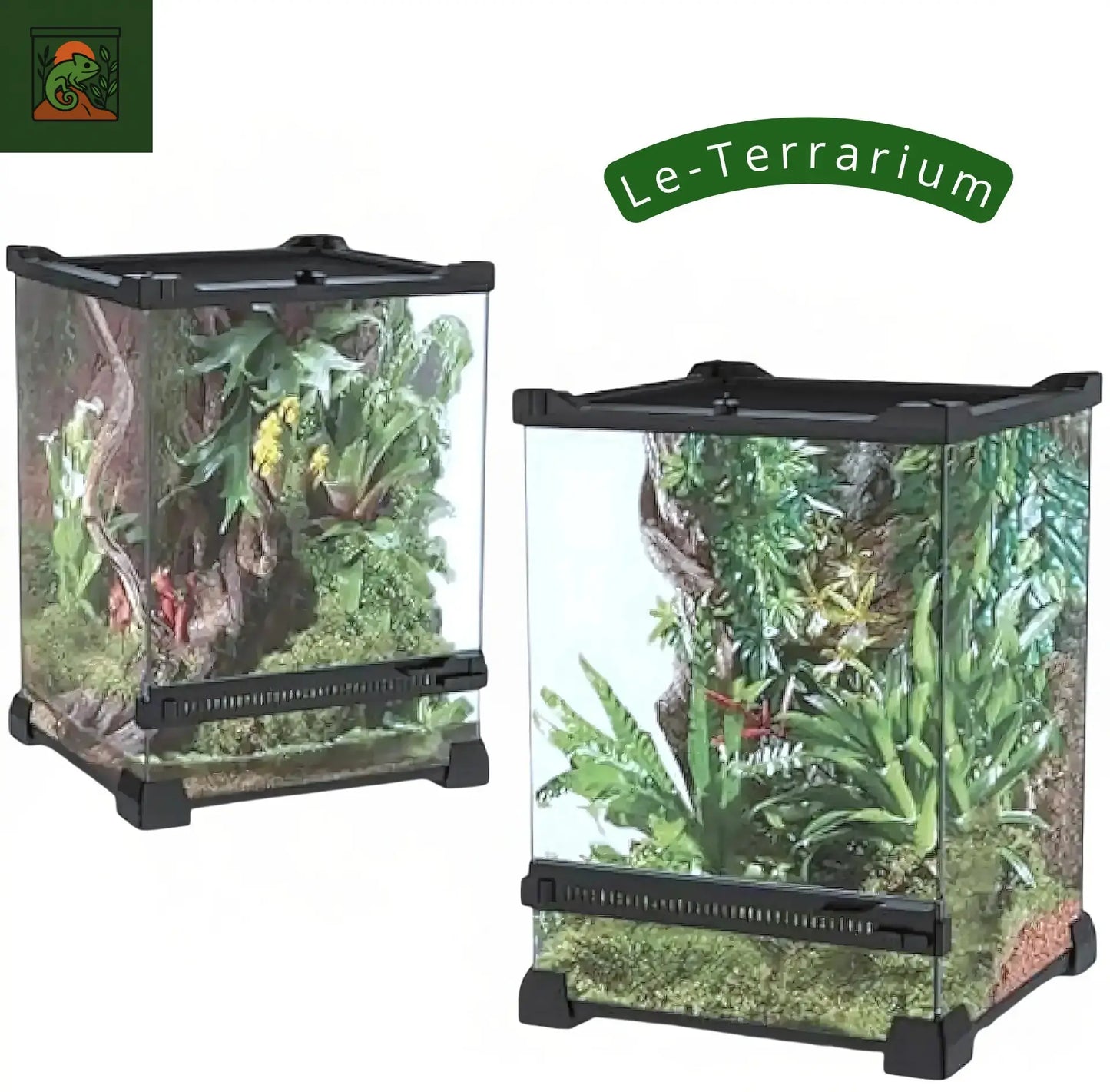 Terrarium en Verre Compact a Haute Transparence