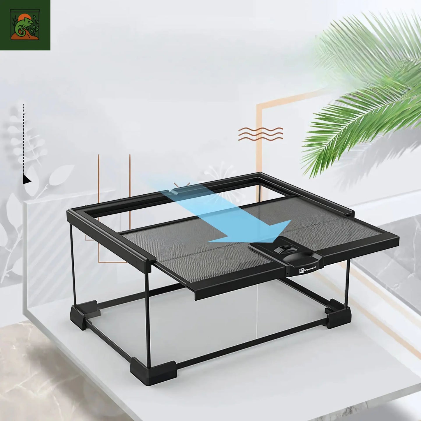 Terrarium en Verre avec Fond Intégré