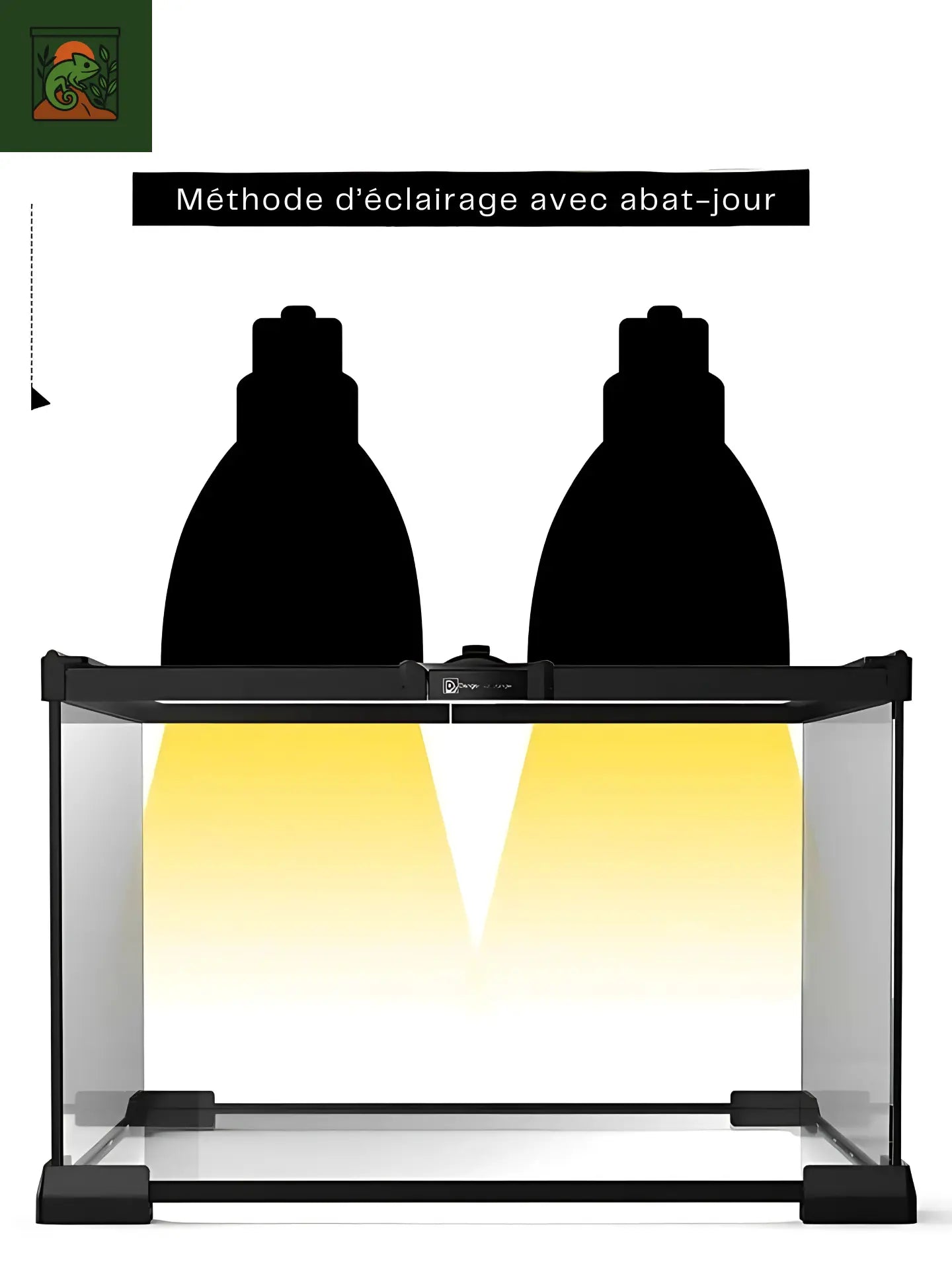 Terrarium en Verre avec Fond Intégré
