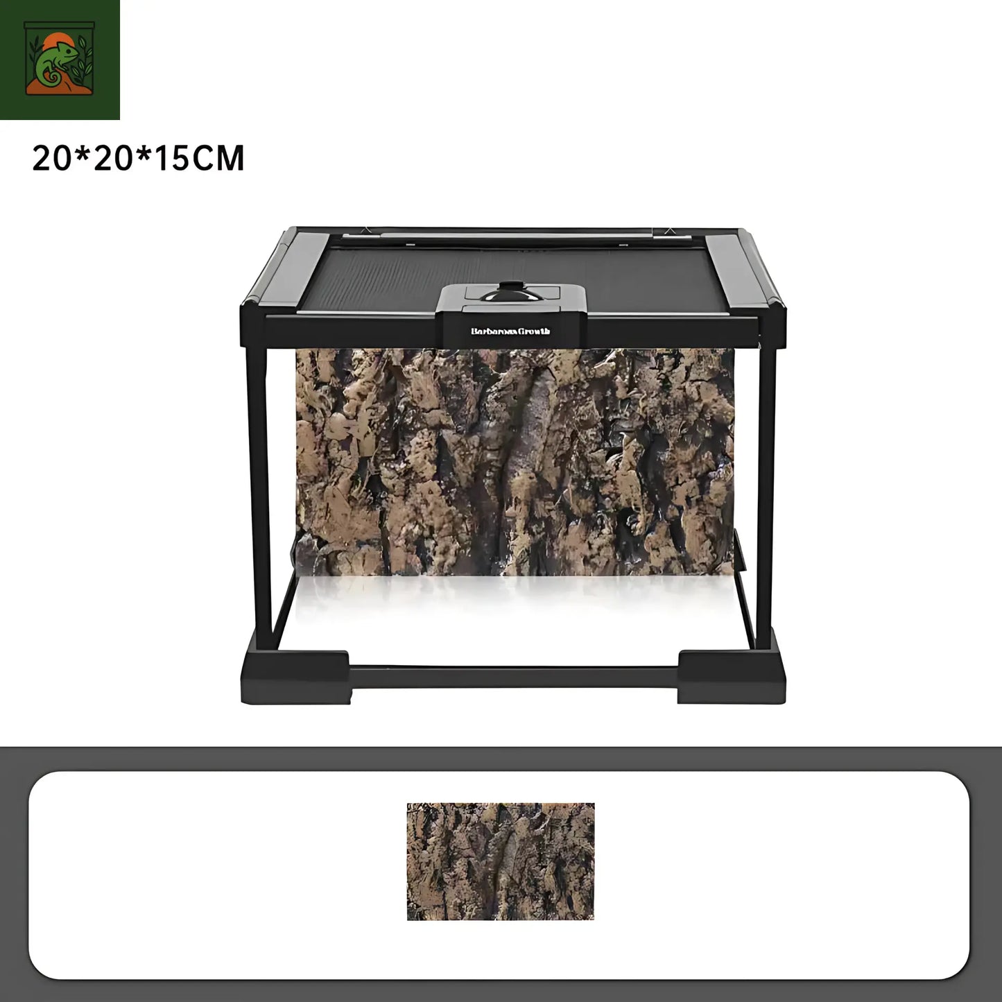 Terrarium en Verre avec Fond Intégré