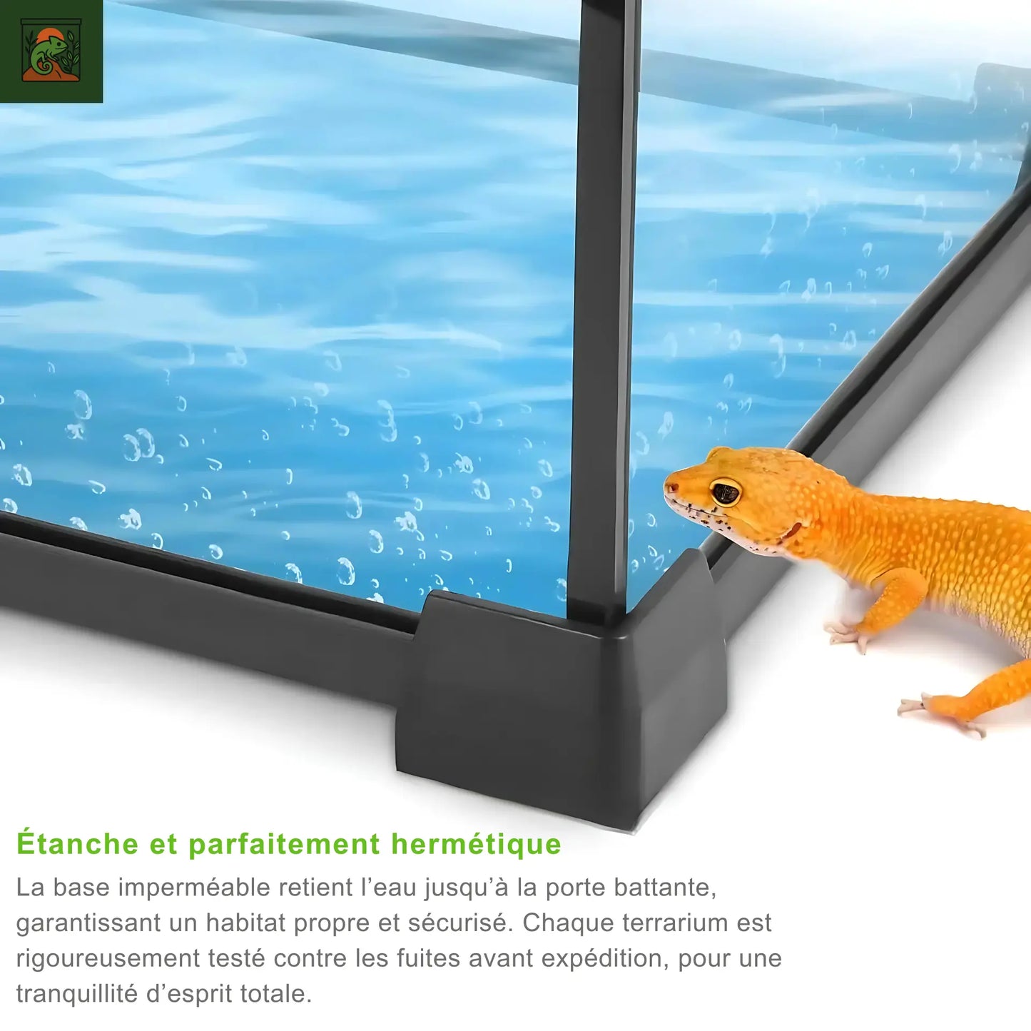 Terrarium en Verre avec vue Panoramique 360°