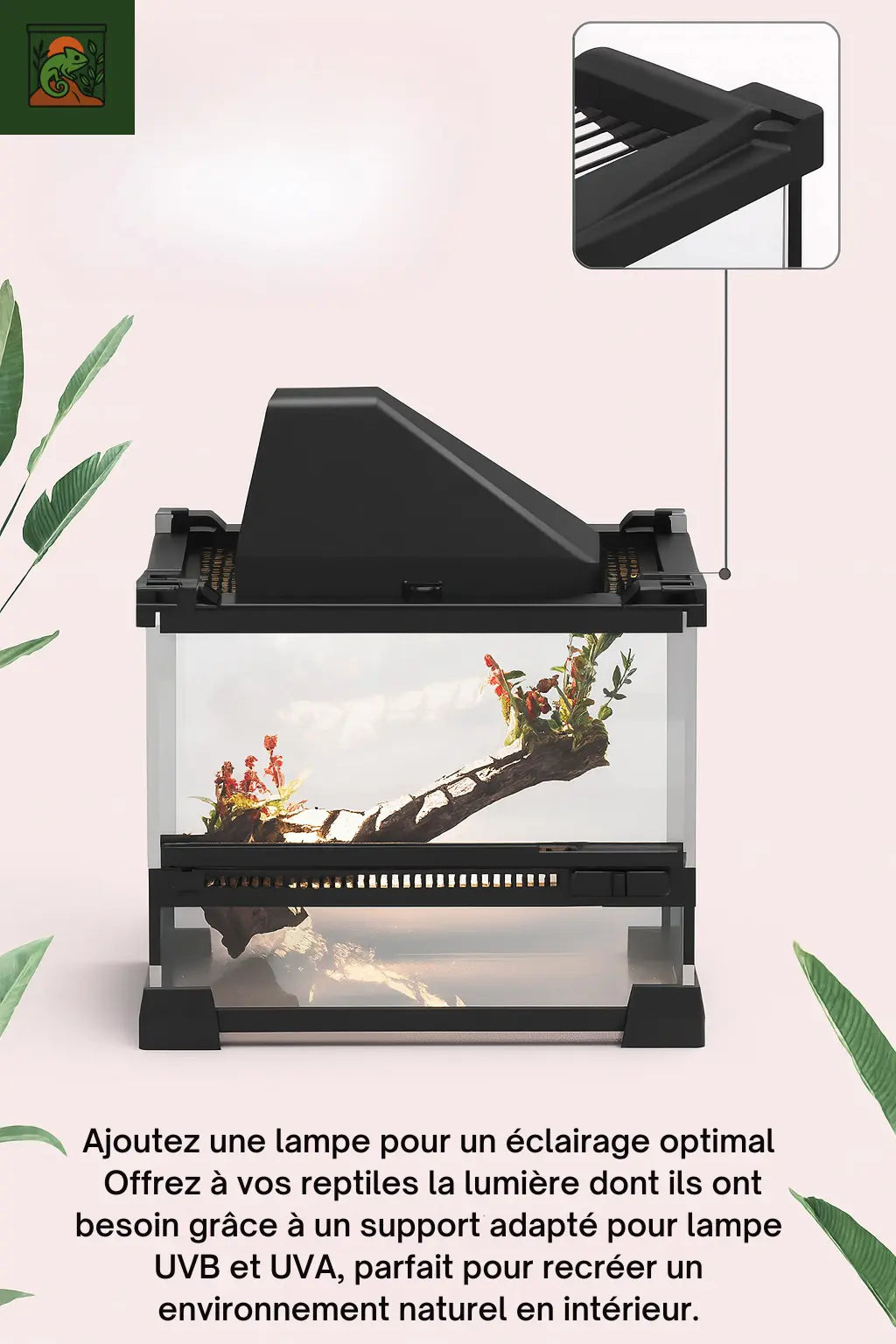 Terrarium en Verre avec vue Panoramique 360°