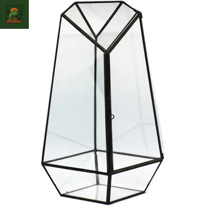 Terrarium en verre Micro paysage en forme de Quartz, planteur de mousse, réservoir de salle de fleurs en verre, Vase écologique irrégulier, Terrarium géométrique