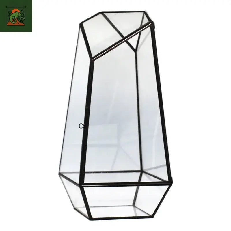 Terrarium en verre Micro paysage en forme de Quartz, planteur de mousse, réservoir de salle de fleurs en verre, Vase écologique irrégulier, Terrarium géométrique