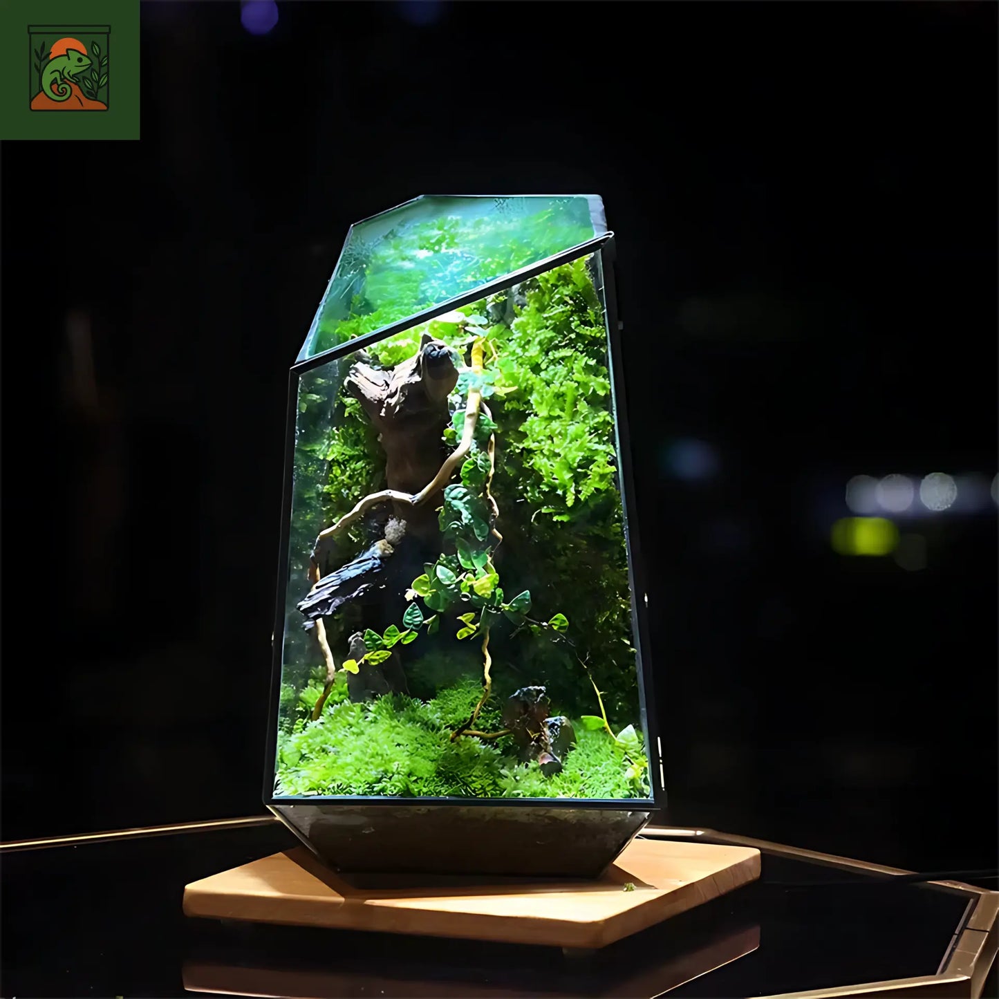 Terrarium plante écosphère en verre quartz – design géométrique chic
