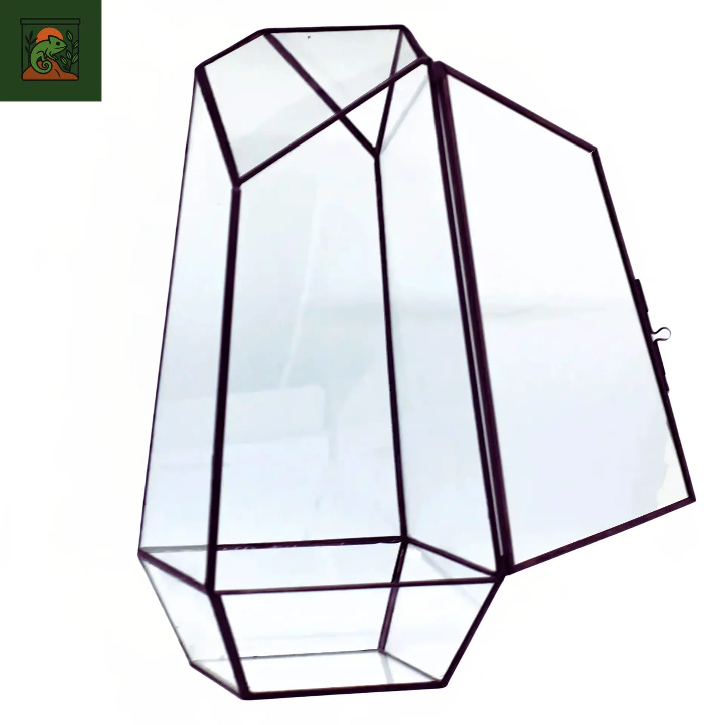 Terrarium plante écosphère en verre quartz – design géométrique chic