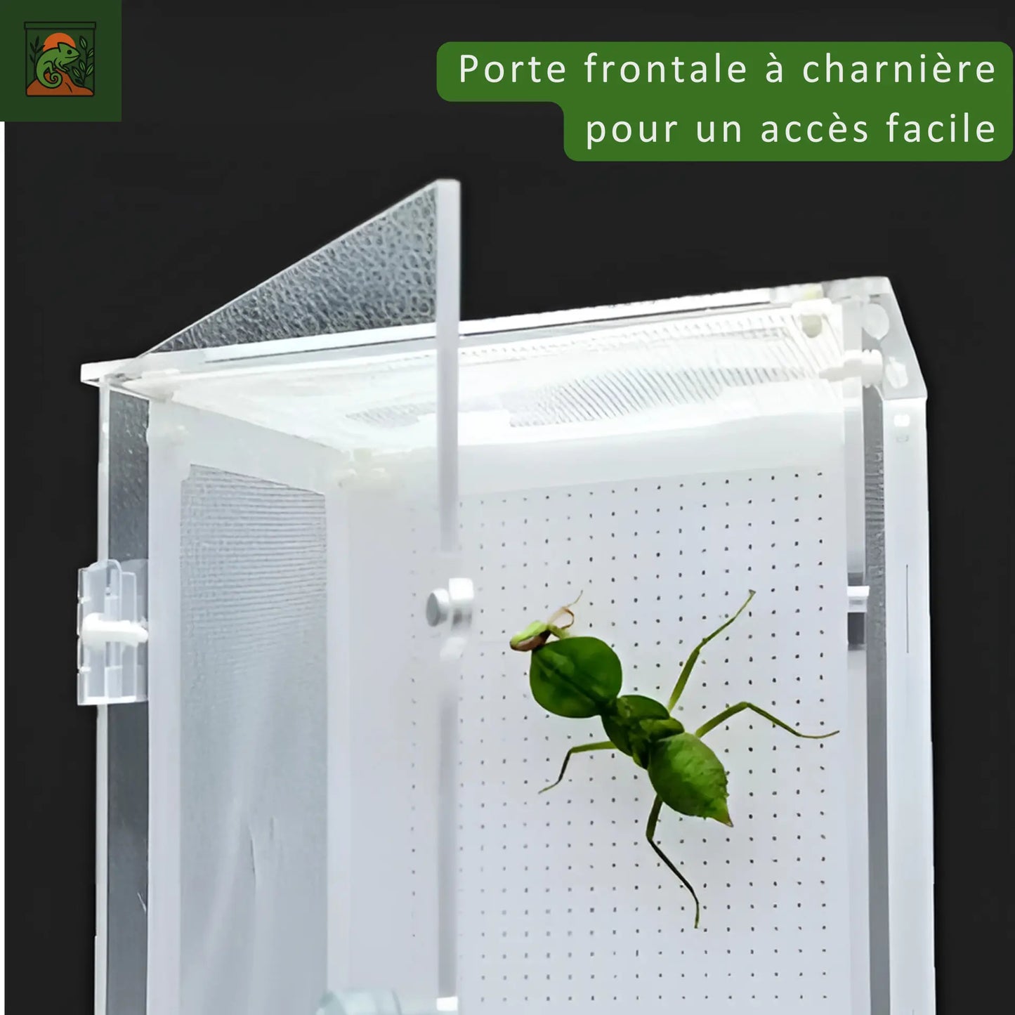Terrarium pour Insectes ou petits reptiles