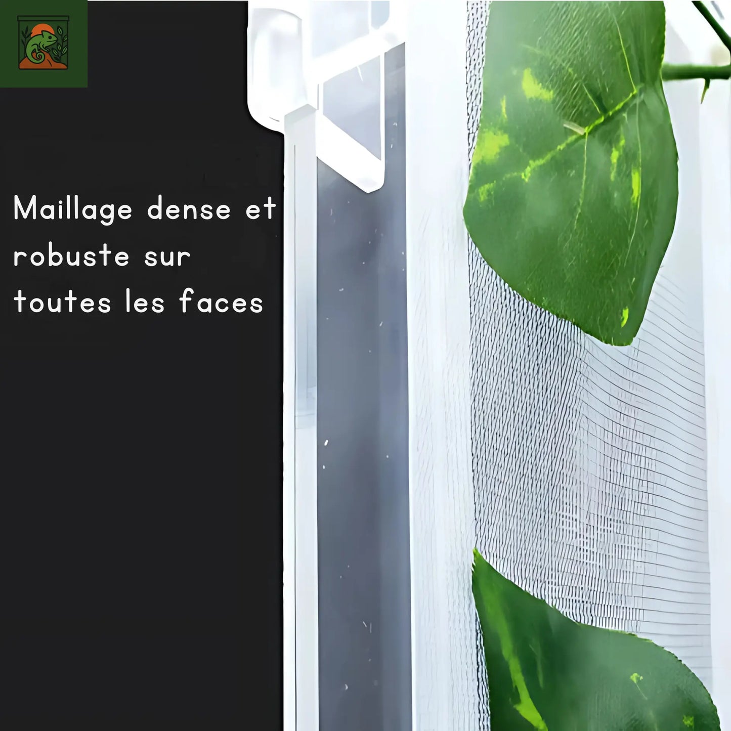 Terrarium pour Insectes ou petits reptiles