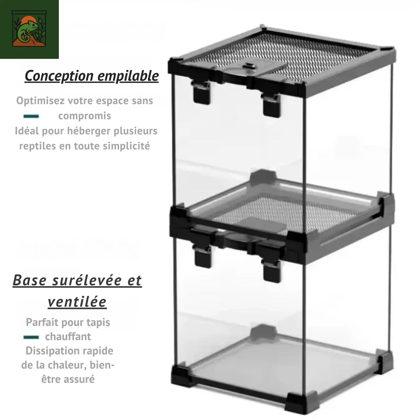 Boîte d'élevage de Reptiles en verre trempé, Cage d'alimentation pour lézards, amphibiens, Terrariums écologiques, chenil à tortues, accessoires pour Reptiles
